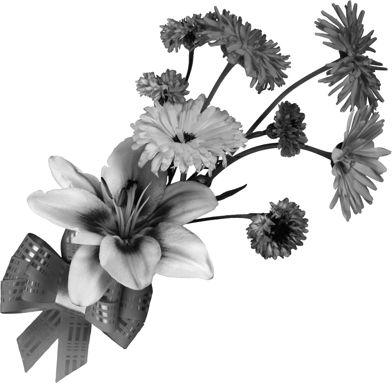 リアルな花のイラスト・フリー素材／白黒・モノクロNo.2198『白黒・花束・リボン』