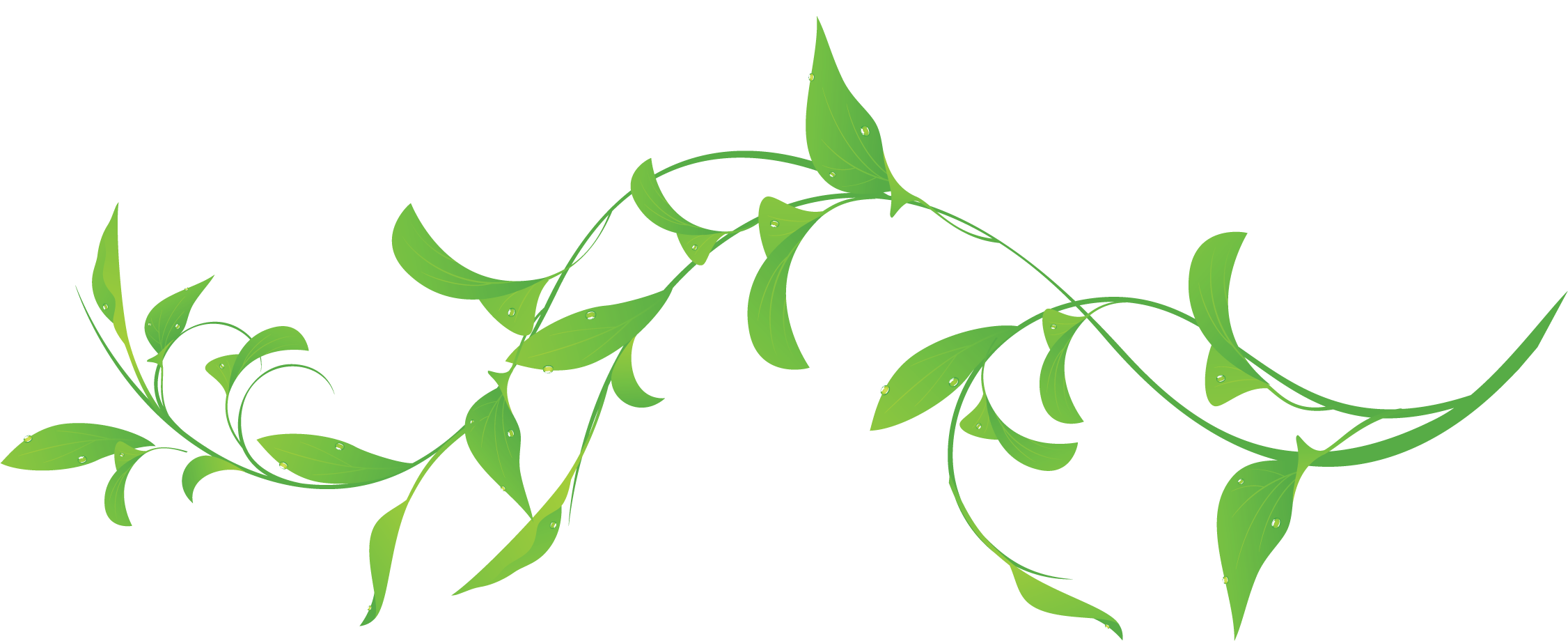 葉っぱや草木のイラスト・画像・フリー素材／No.253『緑・葉・水滴』