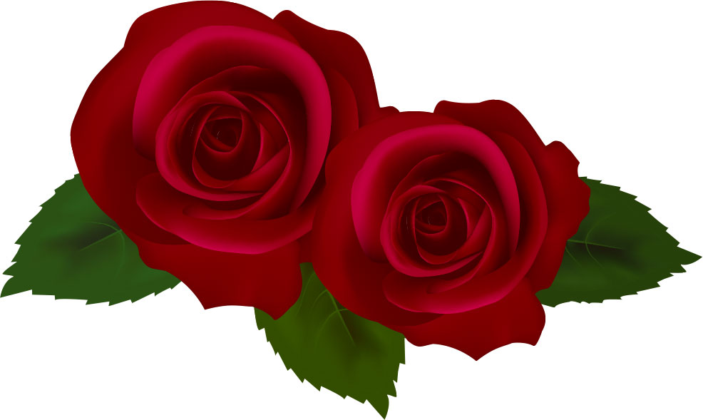 画像サンプル-二輪のバラ・真紅