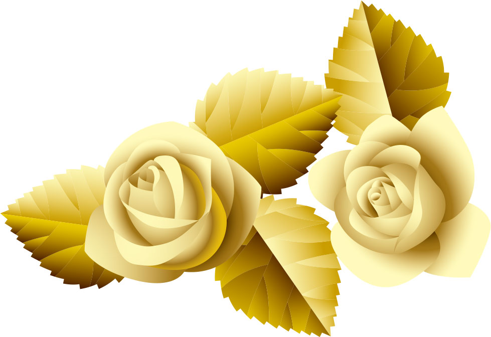 画像サンプル-二輪のバラ・黄色