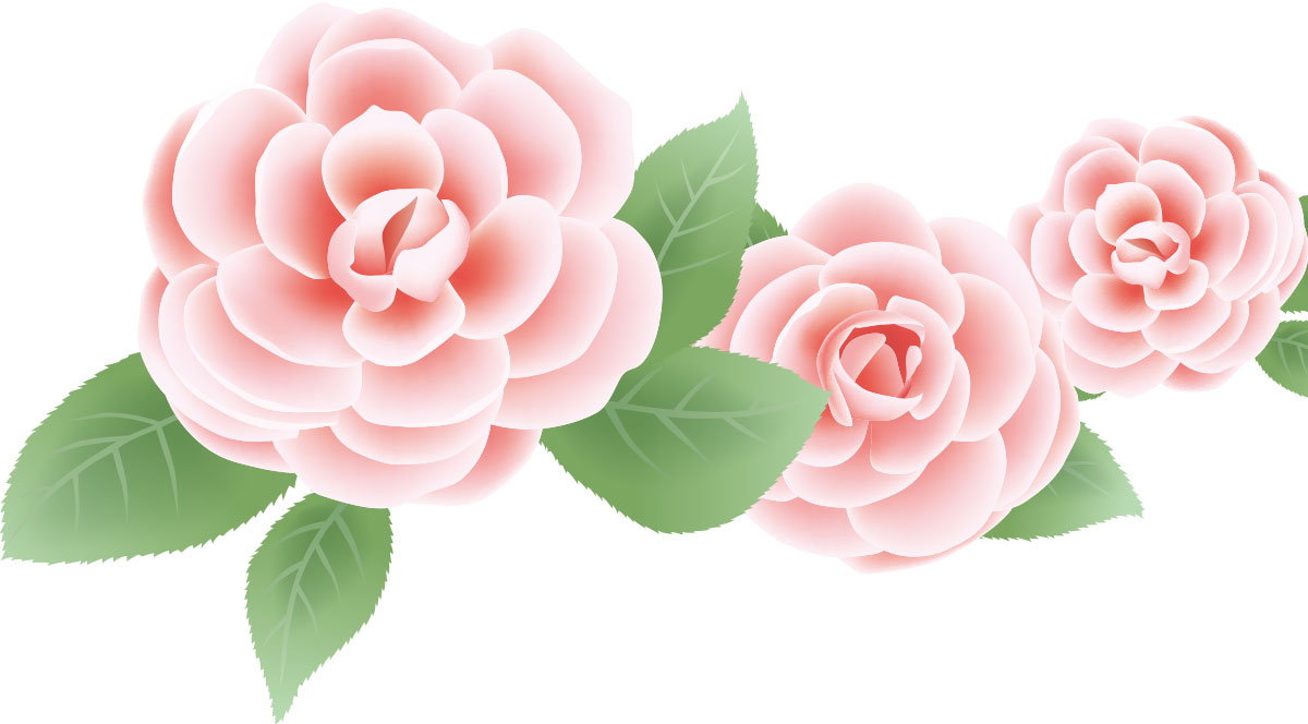 画像サンプル-ピンクのバラ三輪