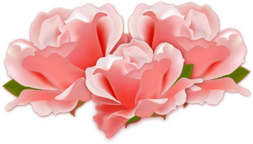 画像サンプル-ピンクのバラ三輪