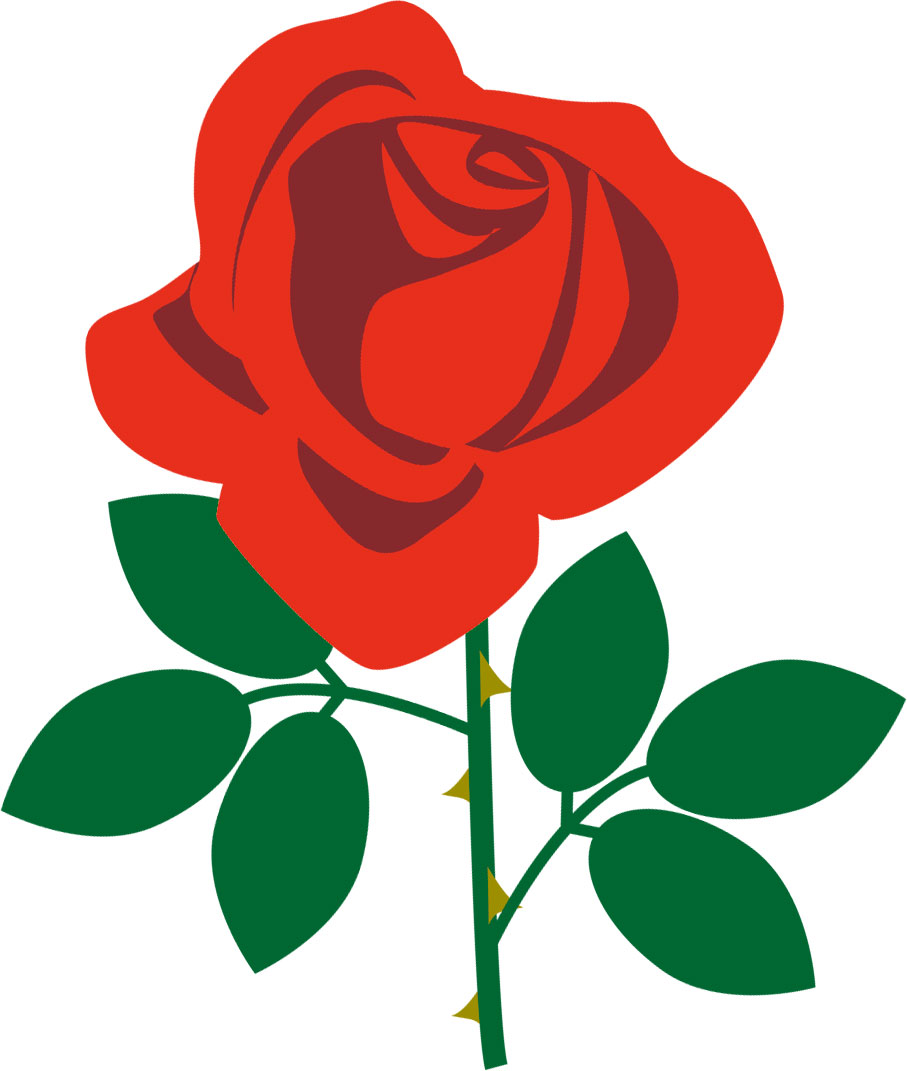 画像サンプル-ポップな赤いバラ