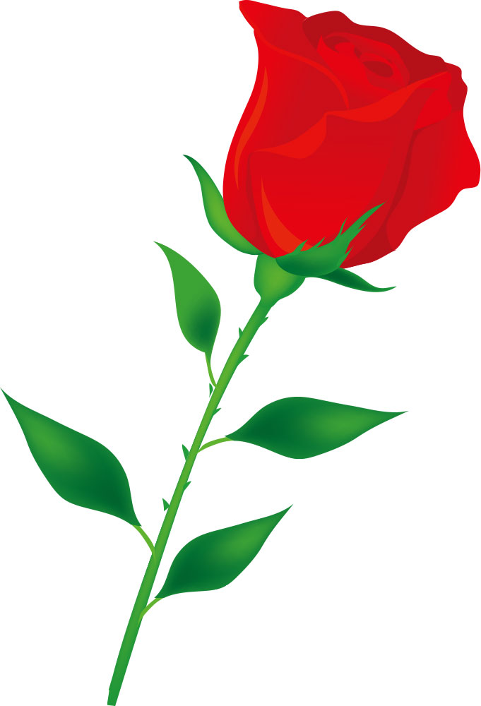 画像サンプル-リアルな赤いバラ