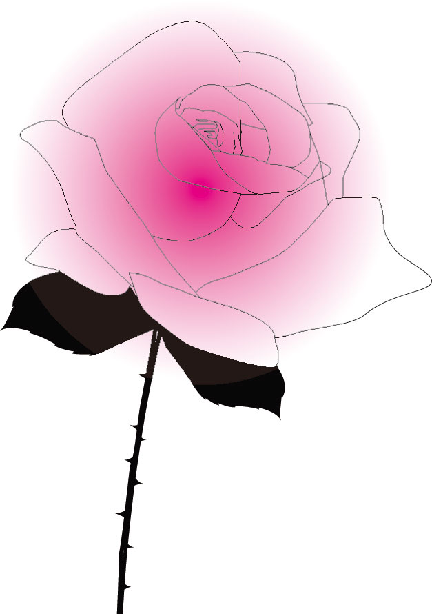 画像サンプル-ピンクのバラ・線画