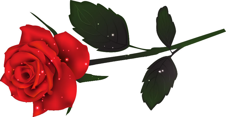 画像サンプル-輝く赤バラ・リアル