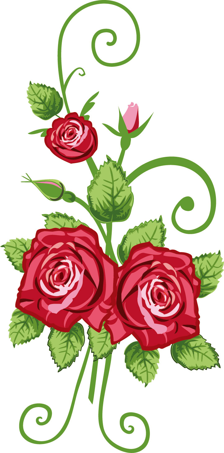 画像サンプル-赤いバラ・装飾用
