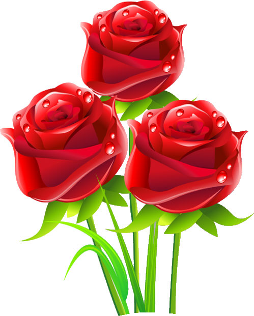 画像サンプル-真紅のバラ三輪