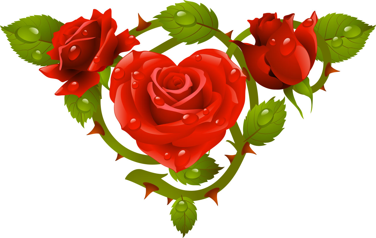 画像サンプル-赤いバラと荊棘