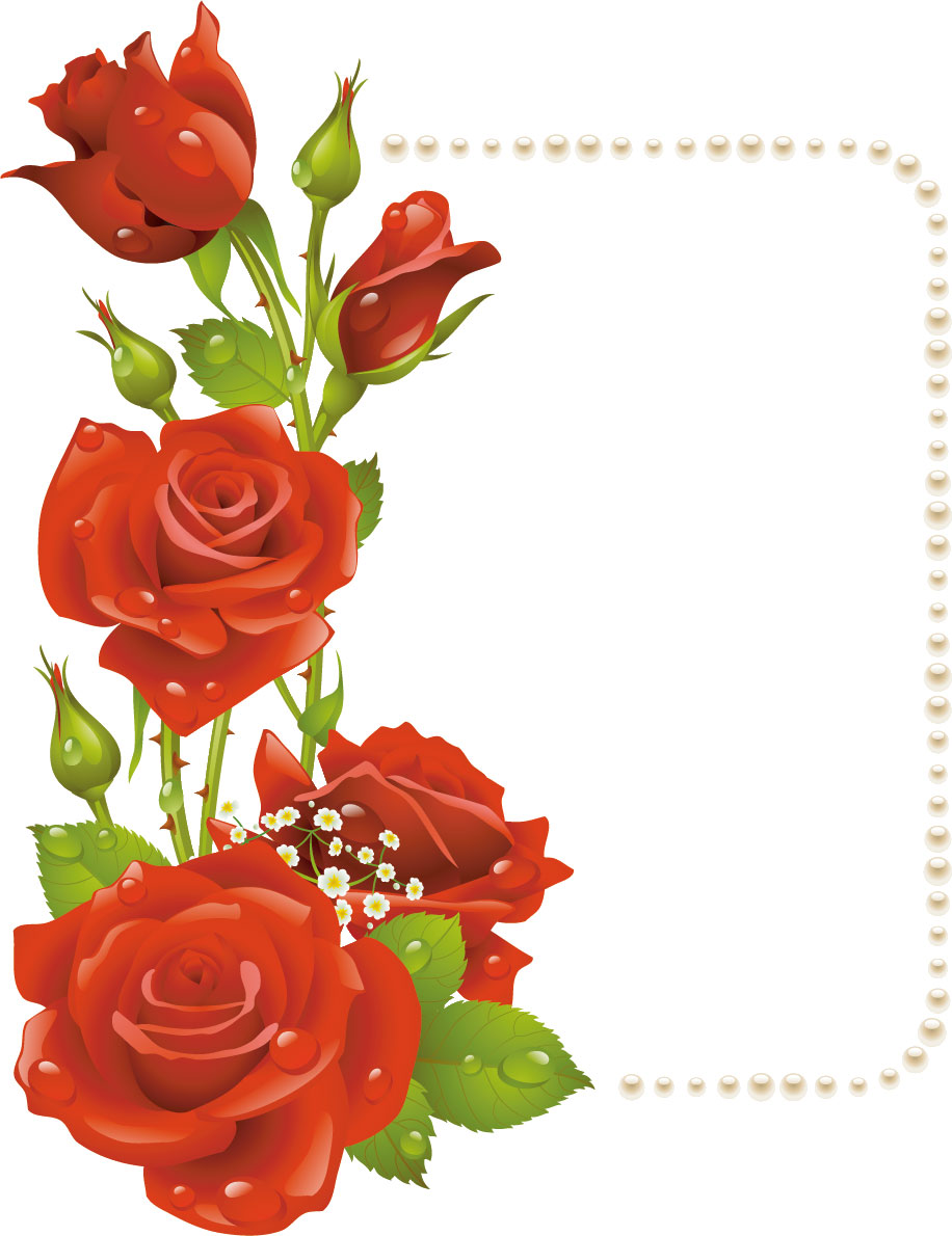 画像サンプル-赤いバラのフレーム・つぼみ