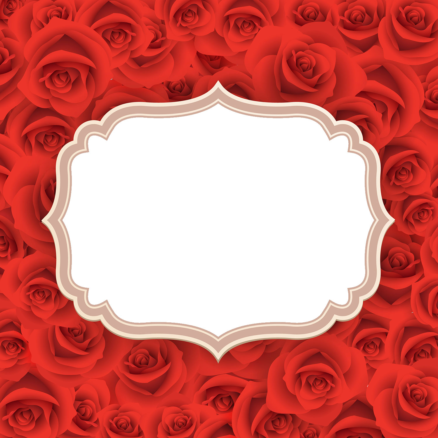 画像サンプル-真紅のバラのフレーム