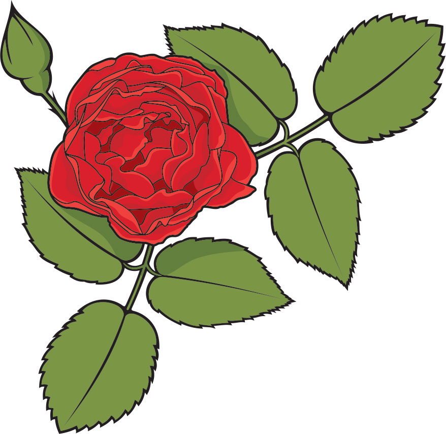 画像サンプル-赤いバラ・線画