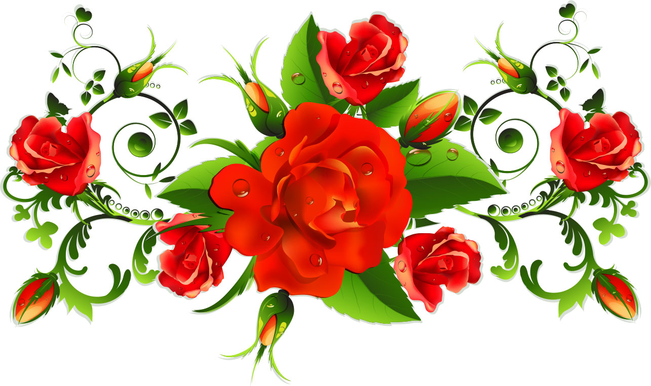 画像サンプル-赤いバラ・リアル