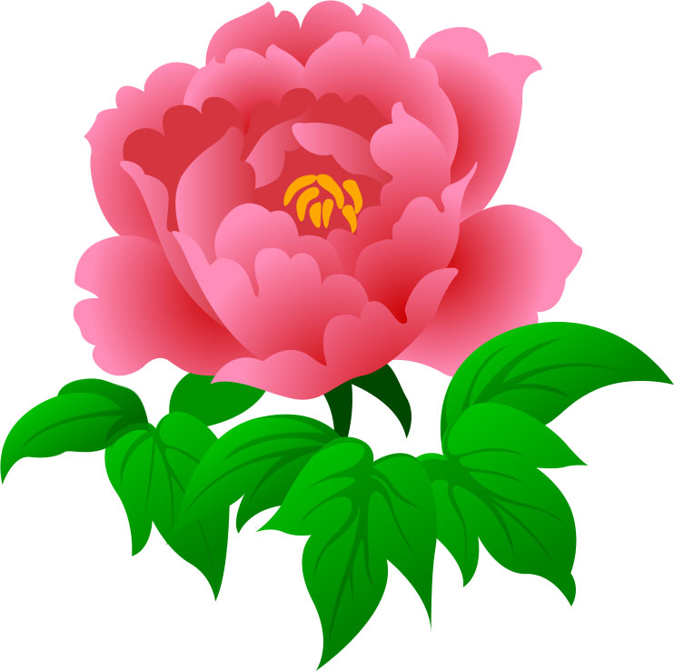 牡丹 ぼたん のイラスト 画像no 4 牡丹 ピンク 無料のフリー素材集 百花繚乱