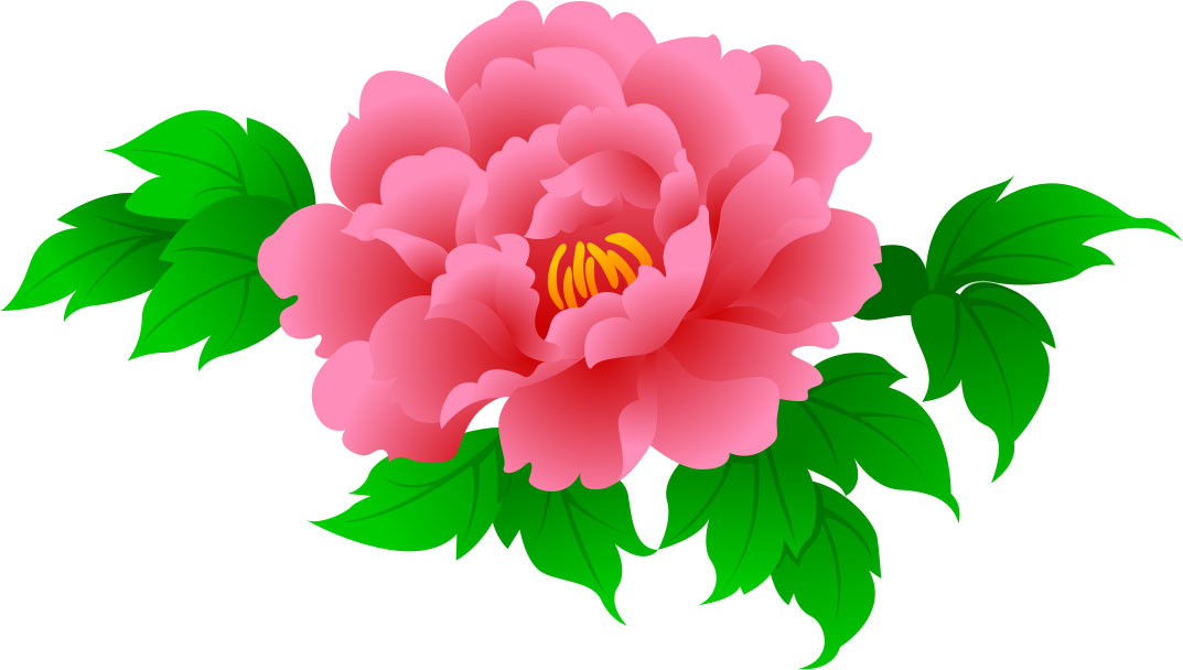 牡丹 ぼたん のイラスト 画像no 5 牡丹 ピンク 無料のフリー素材集 百花繚乱