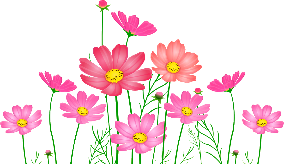 コスモスのイラスト 画像no 002 コスモスの花々 無料のフリー素材集 百花繚乱
