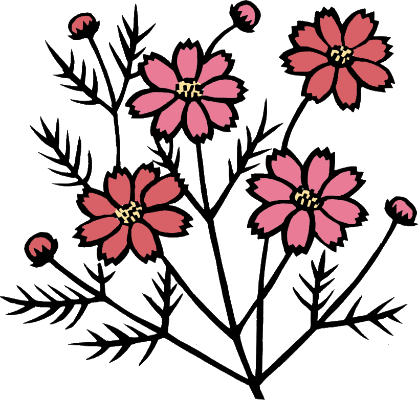 コスモスのイラスト 画像no 004 コスモスの花 無料のフリー素材集 百花繚乱