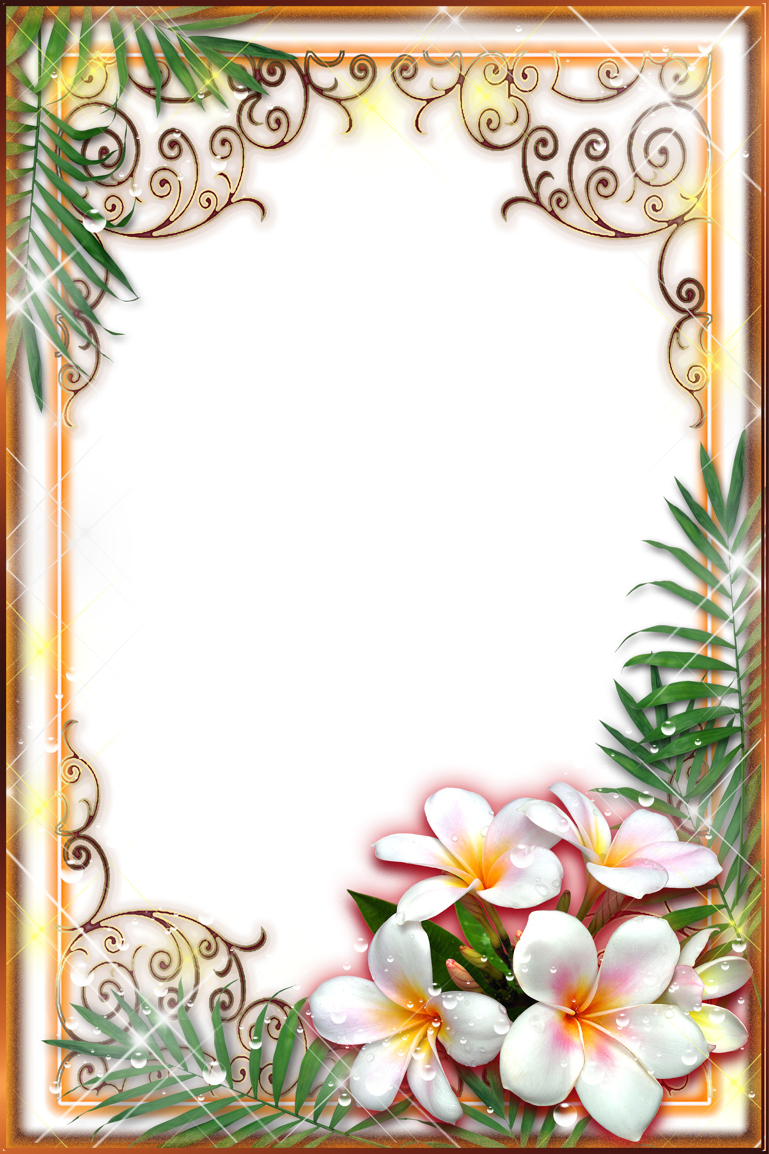 白いの花のイラスト フリー素材 背景 壁紙no 344 プルメリア ゴージャス