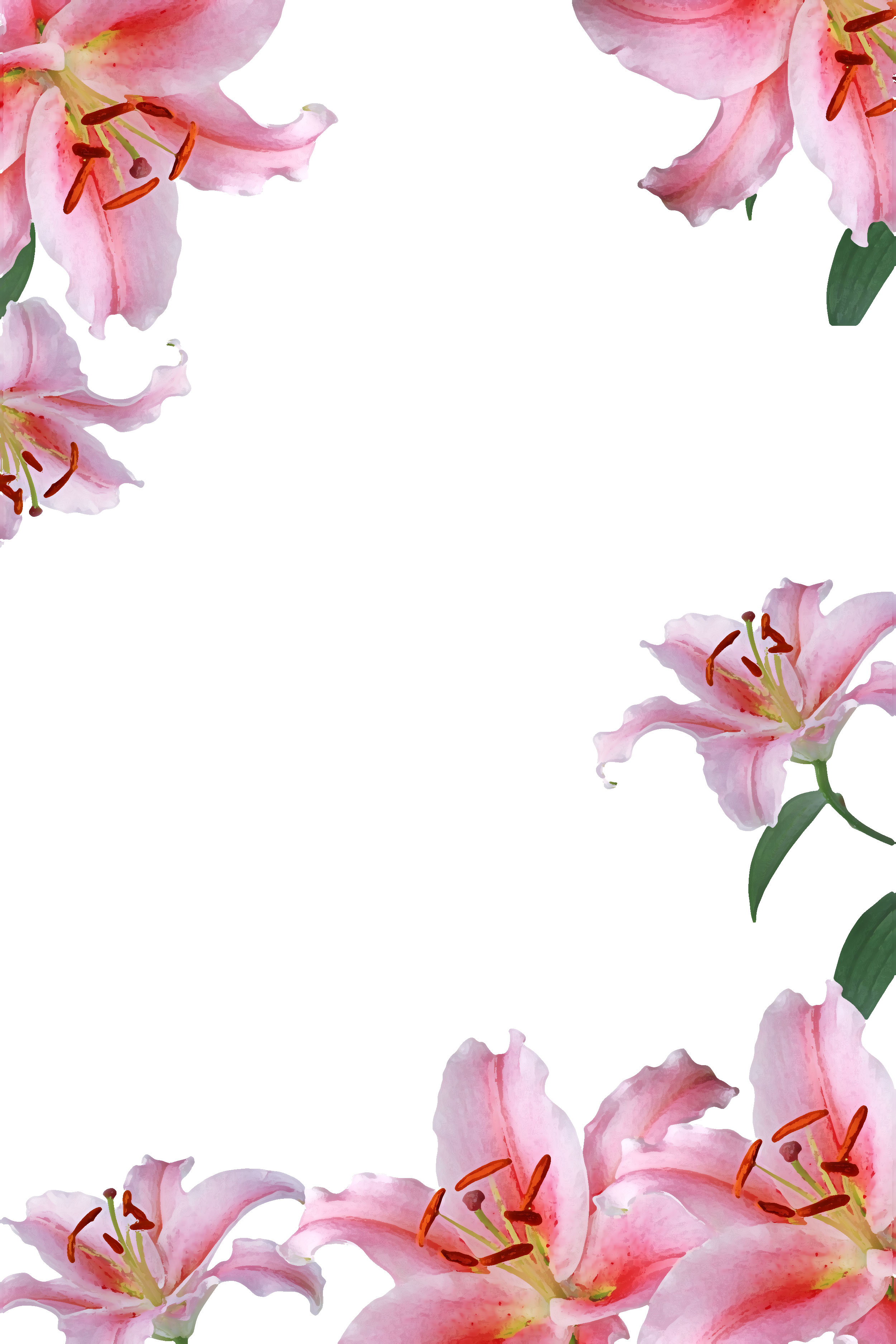 ピンクの花のイラスト フリー素材 壁紙 背景no 612 ピンクのユリ