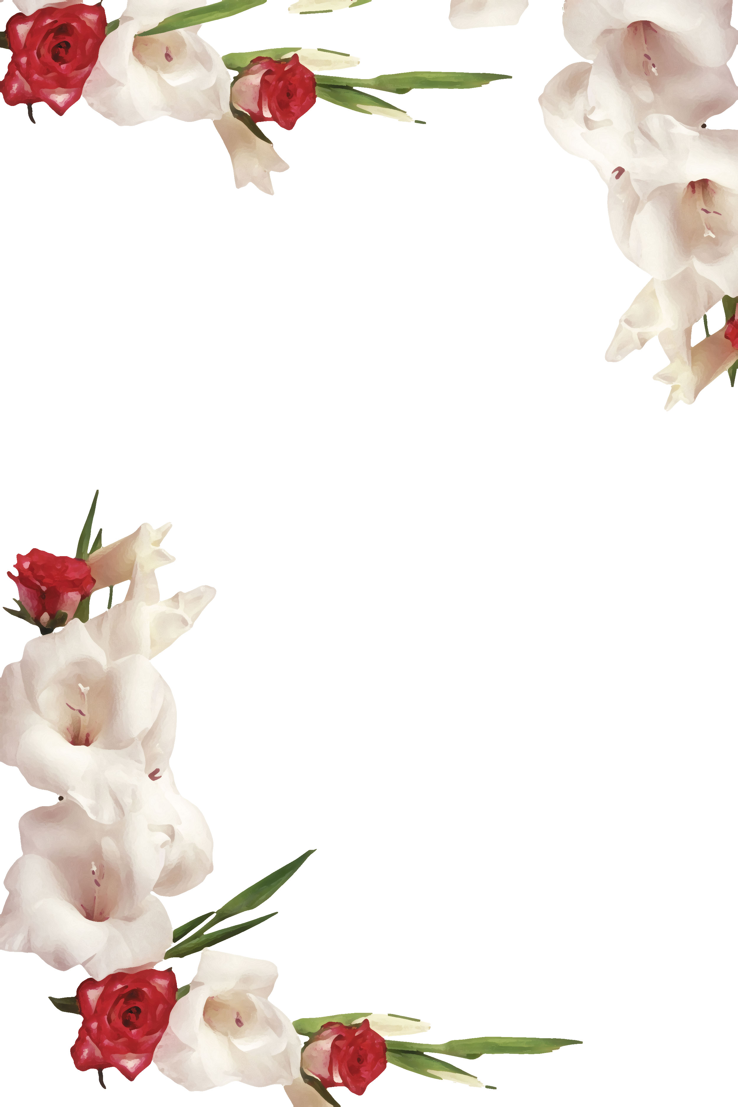 白いの花のイラスト フリー素材 背景 壁紙no 363 赤白 バラ