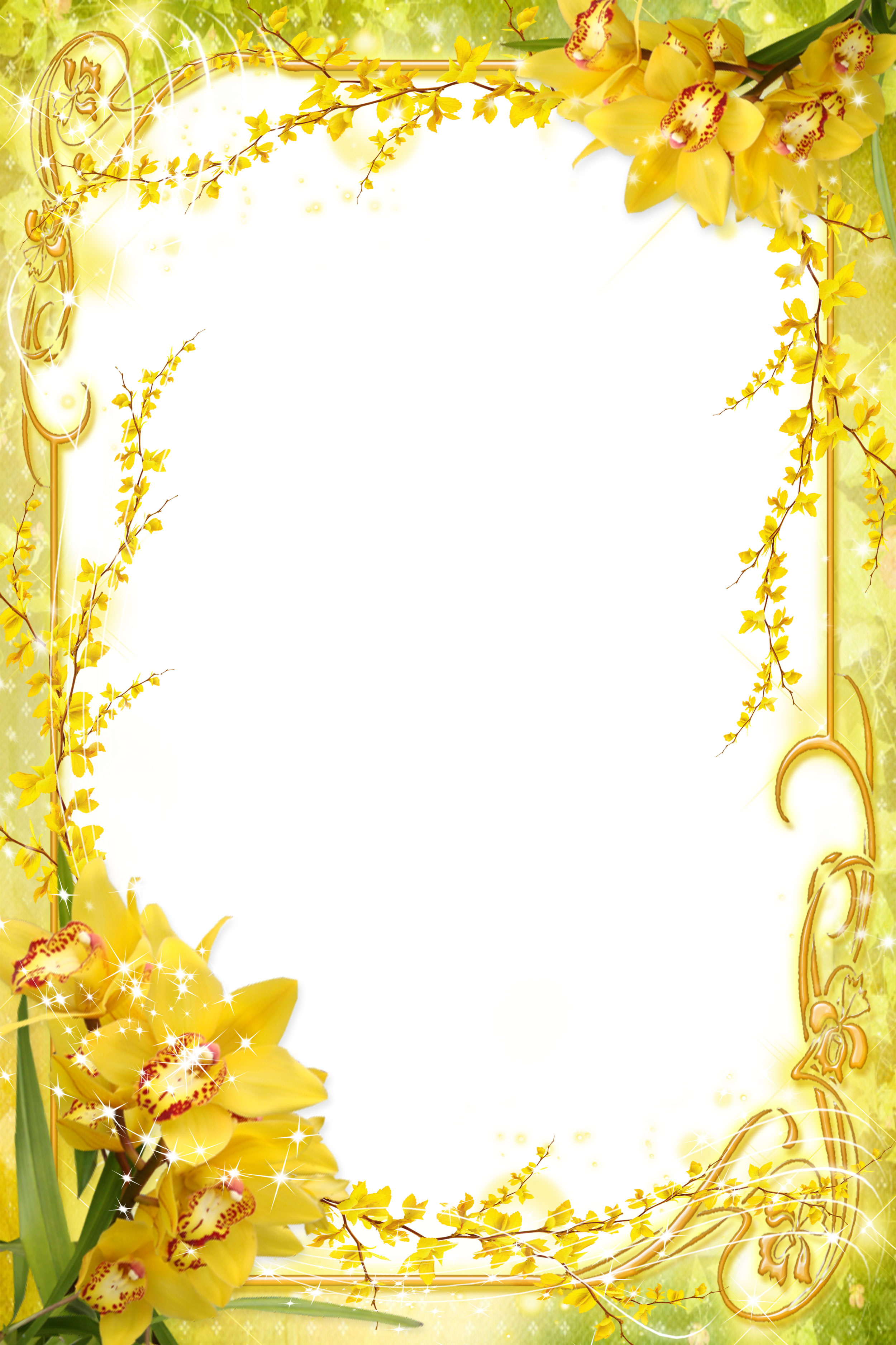黄色の花のイラスト フリー素材 背景 壁紙no 287 黄スイセン 白背景 金