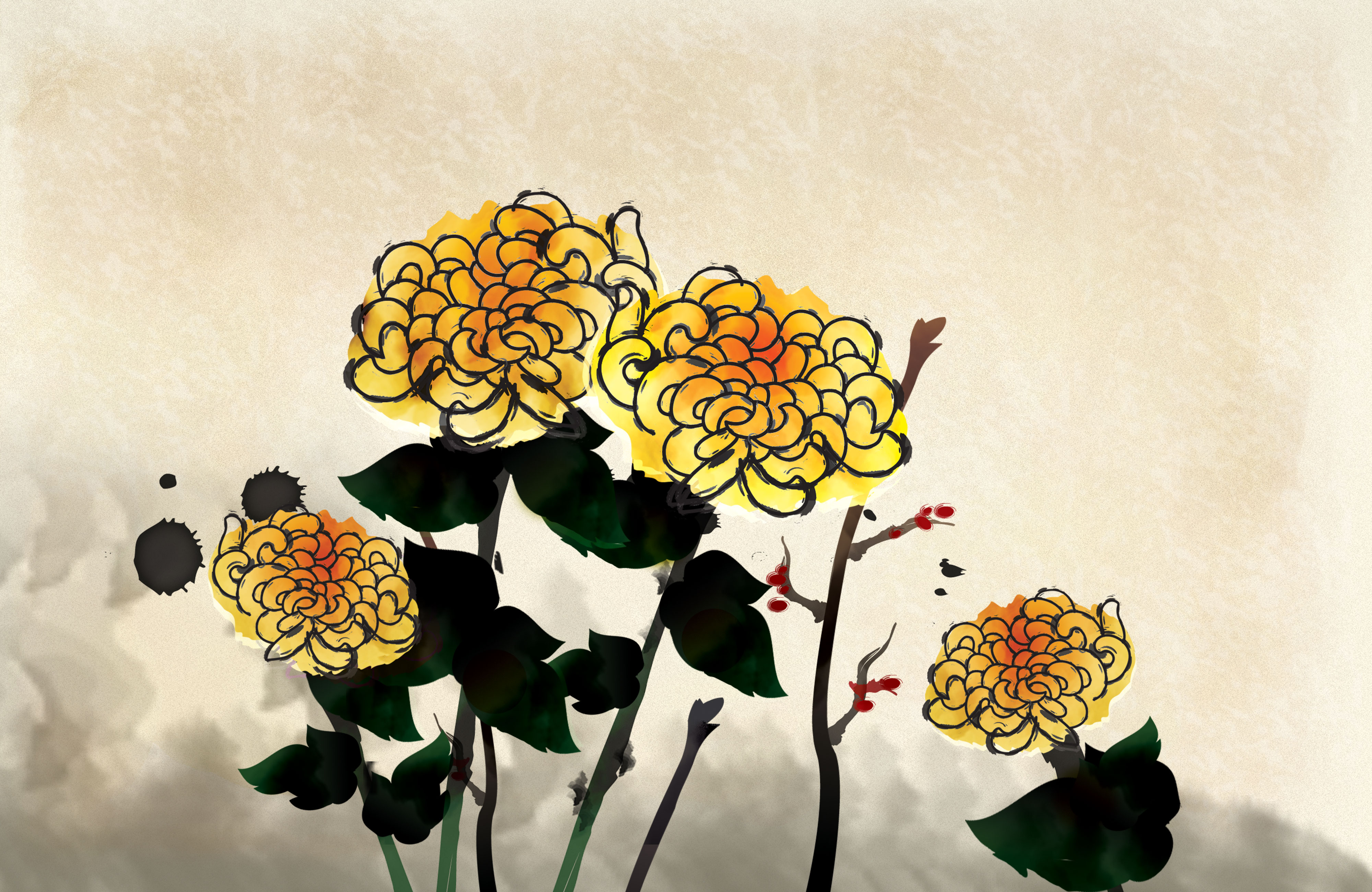 きく 菊 のイラスト 画像no 24 壁紙 手書き風の菊 無料のフリー素材集 百花繚乱