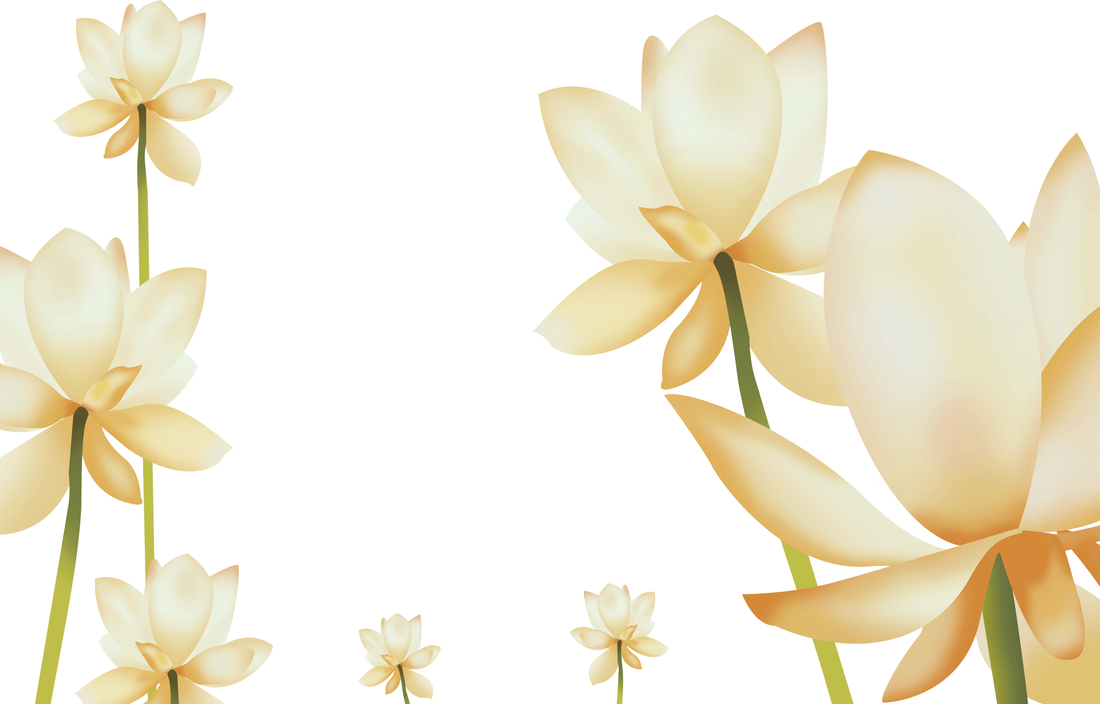 花のイラスト フリー素材 壁紙 背景no 323 白茶 見上げるアングル