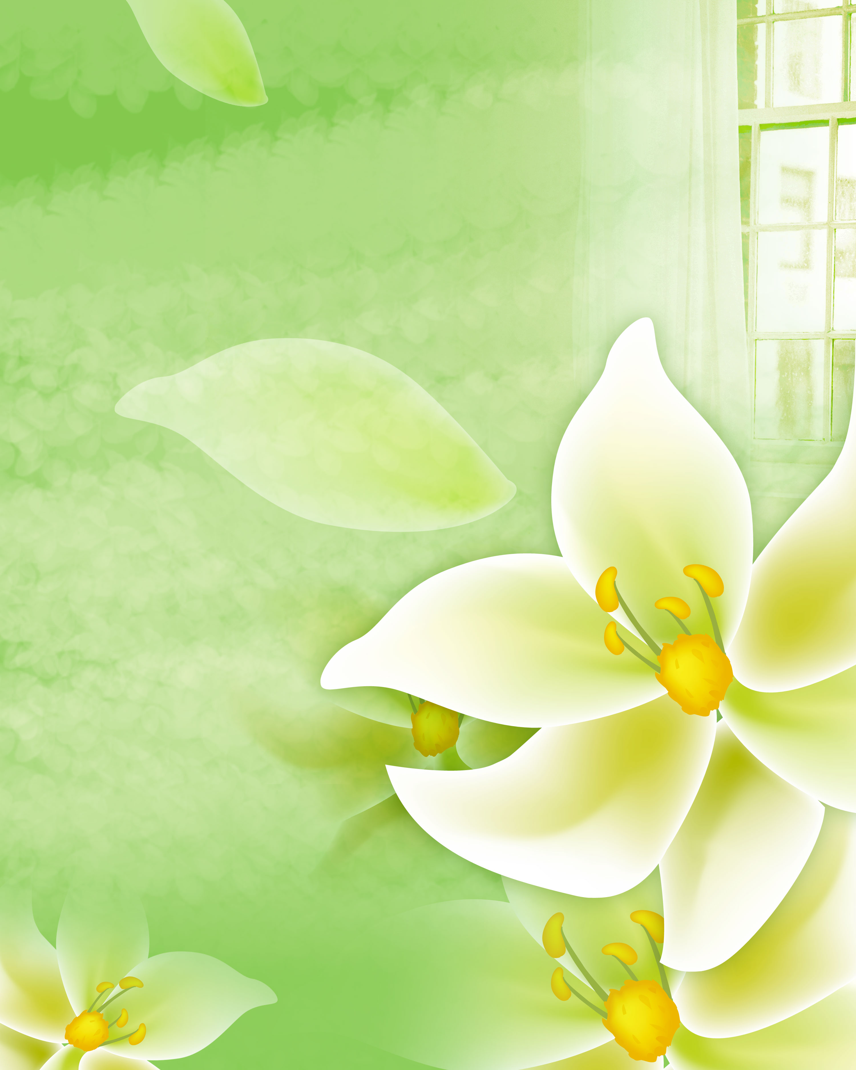 白いの花のイラスト フリー素材 背景 壁紙no 390 ユリ 花びら 窓
