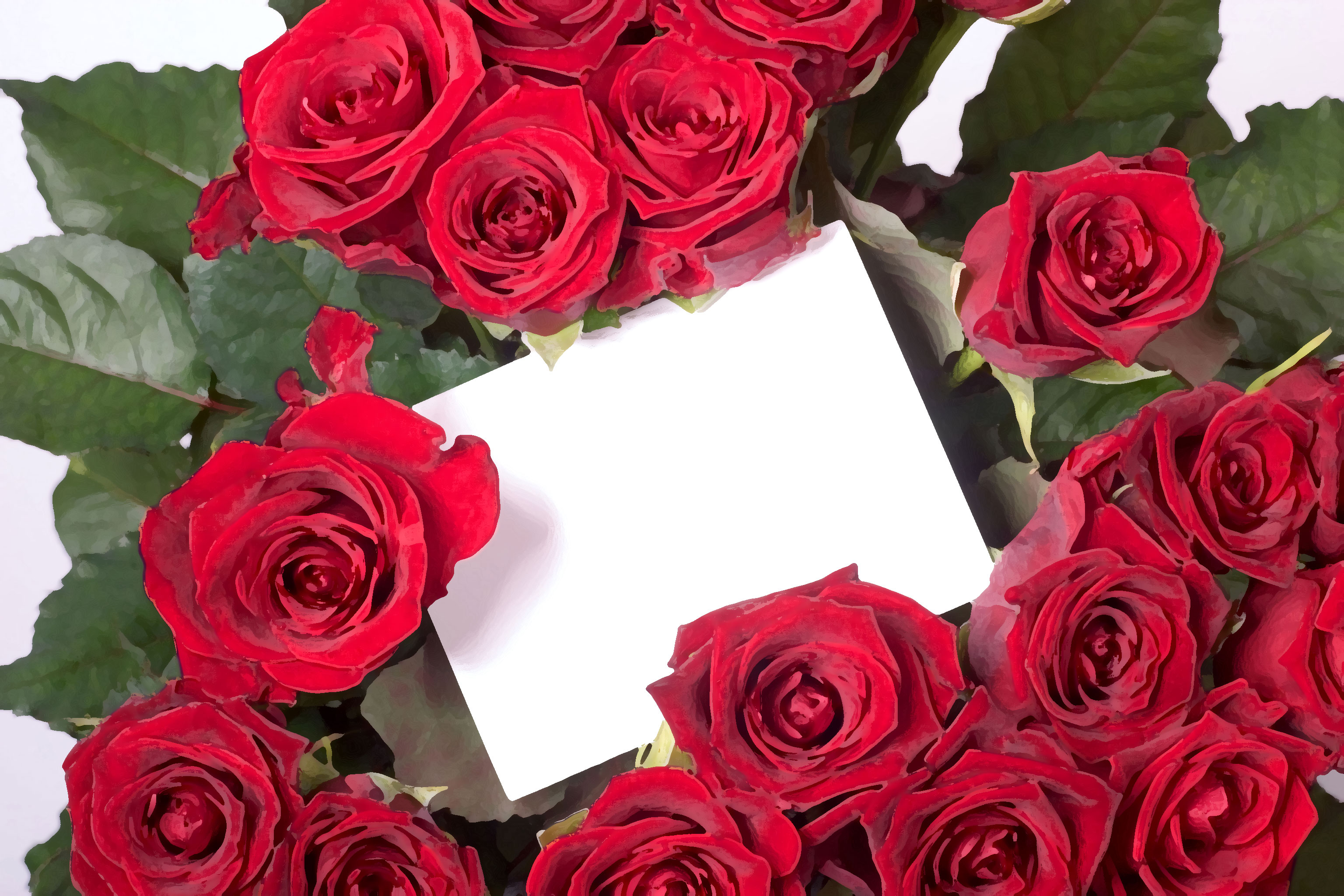 花のイラスト フリー素材 壁紙 背景no 360 赤いバラ 手紙 葉
