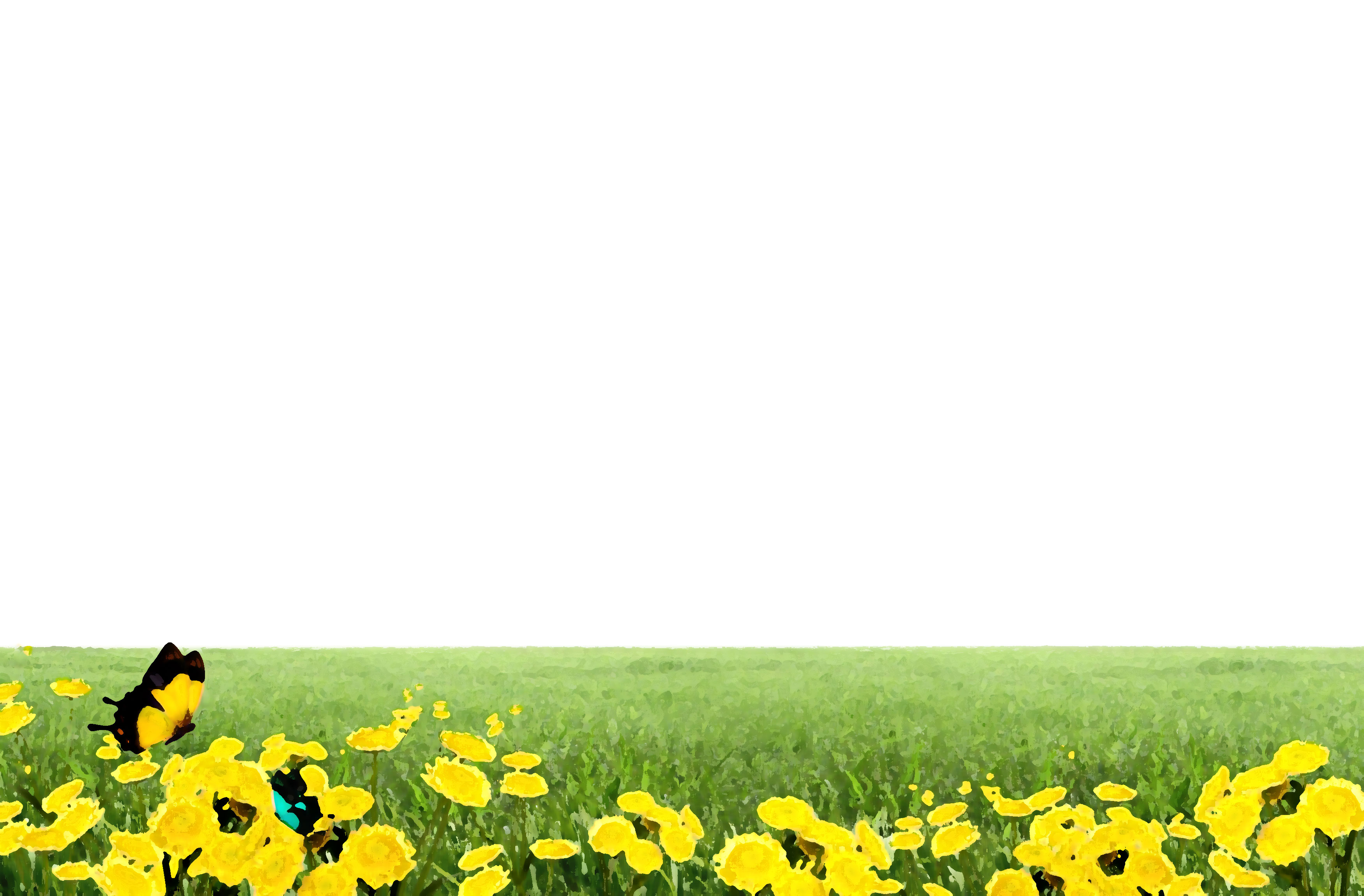 黄色の花のイラスト フリー素材 背景 壁紙no 301 草原 黄色 蝶