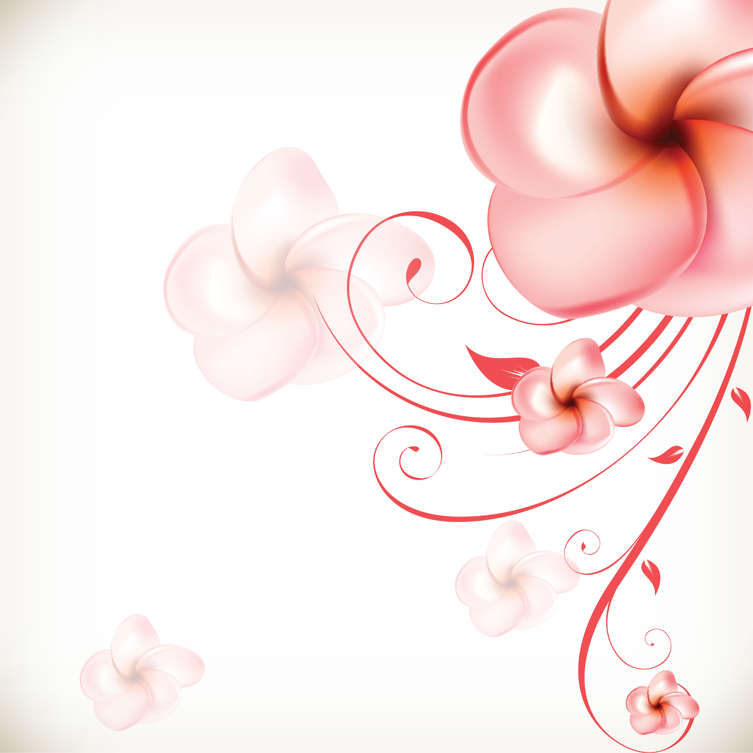 ダリアのイラスト 画像no 60 壁紙 ピンクのプルメリア 無料のフリー素材集 百花繚乱