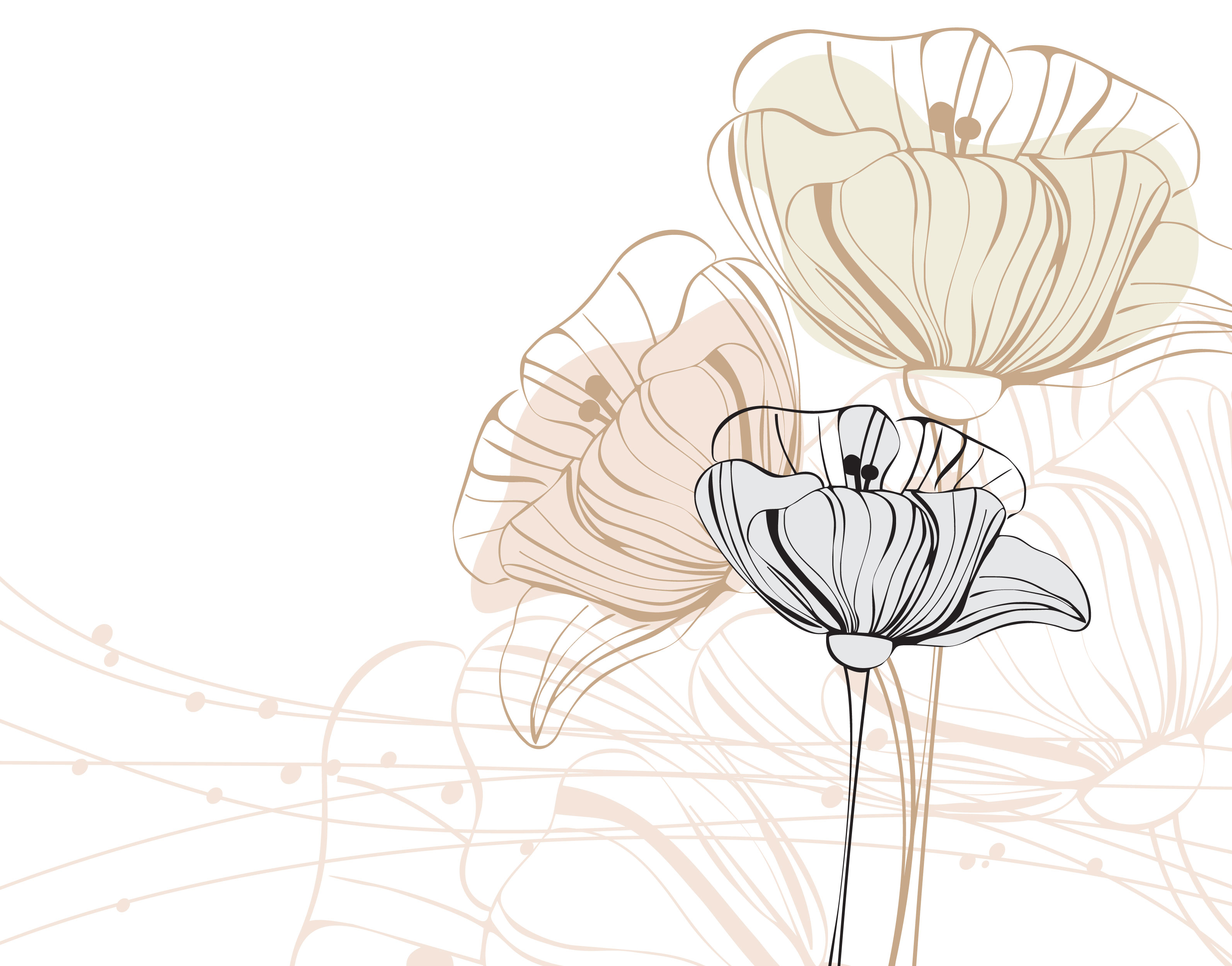 50 素晴らしい線画 イラスト フリー 美しい花の画像