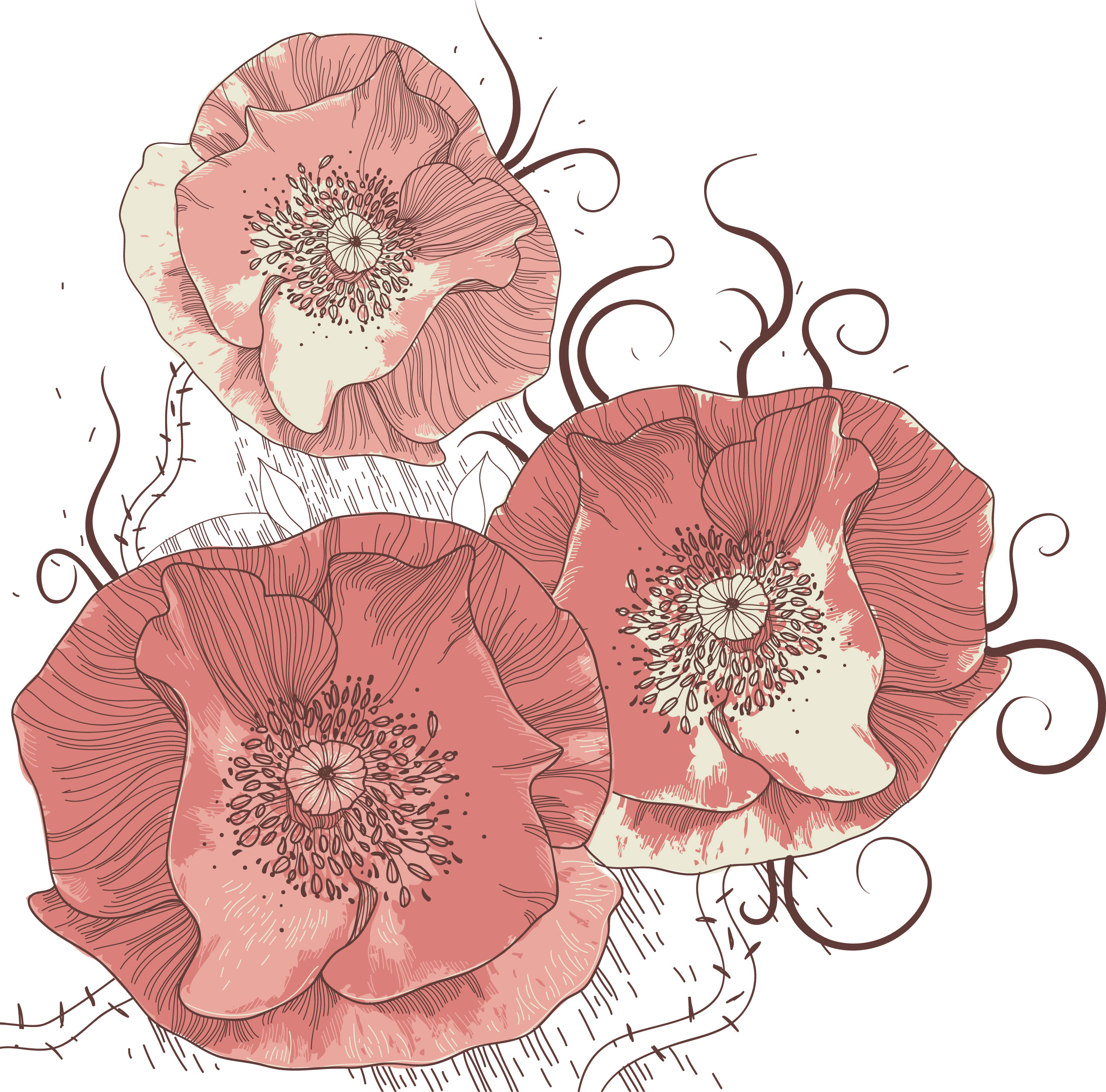 赤い花のイラスト-手書き風線画・赤