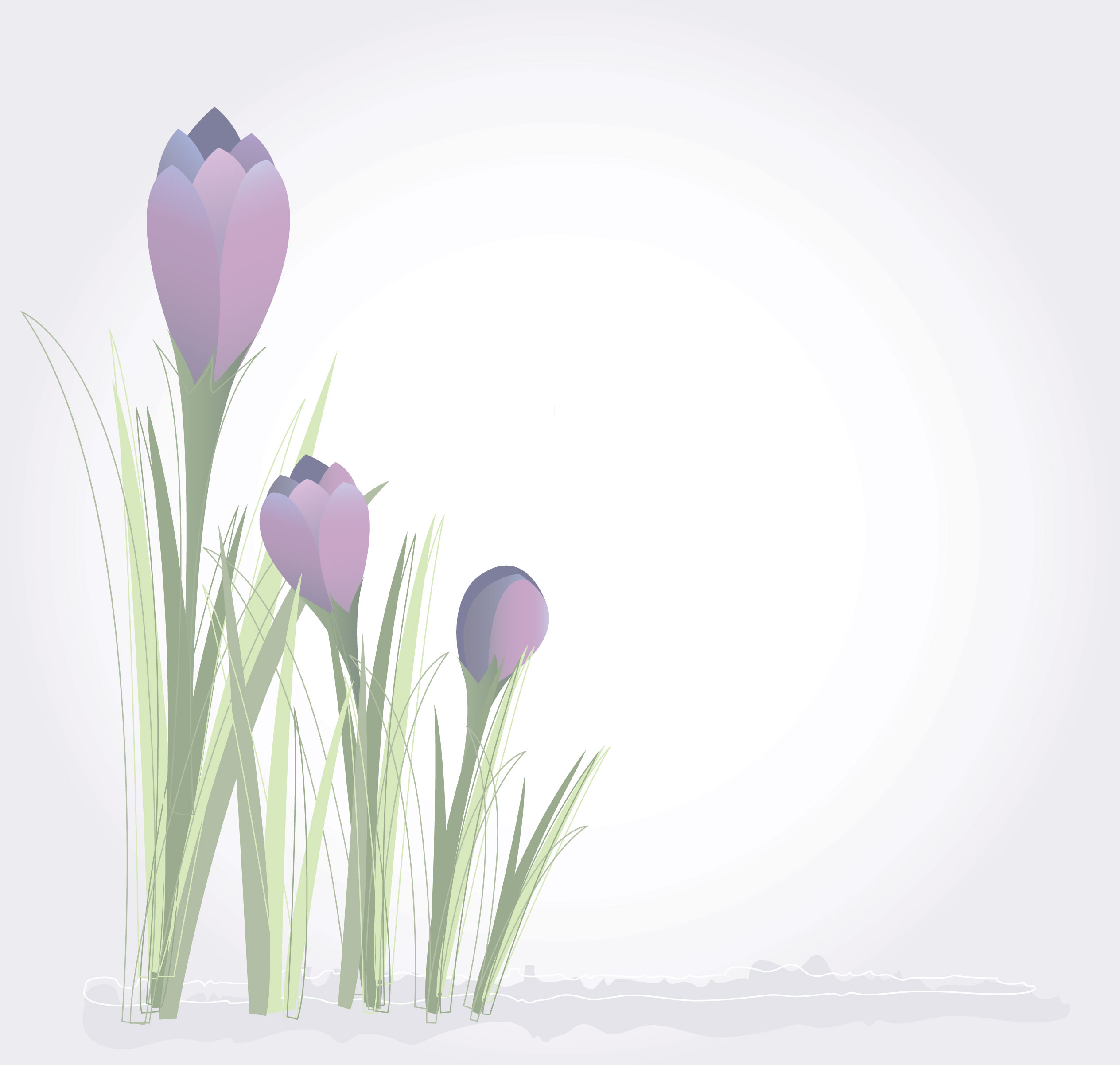 花のイラスト フリー素材 壁紙 背景no 674 紫 フリージア 淡い