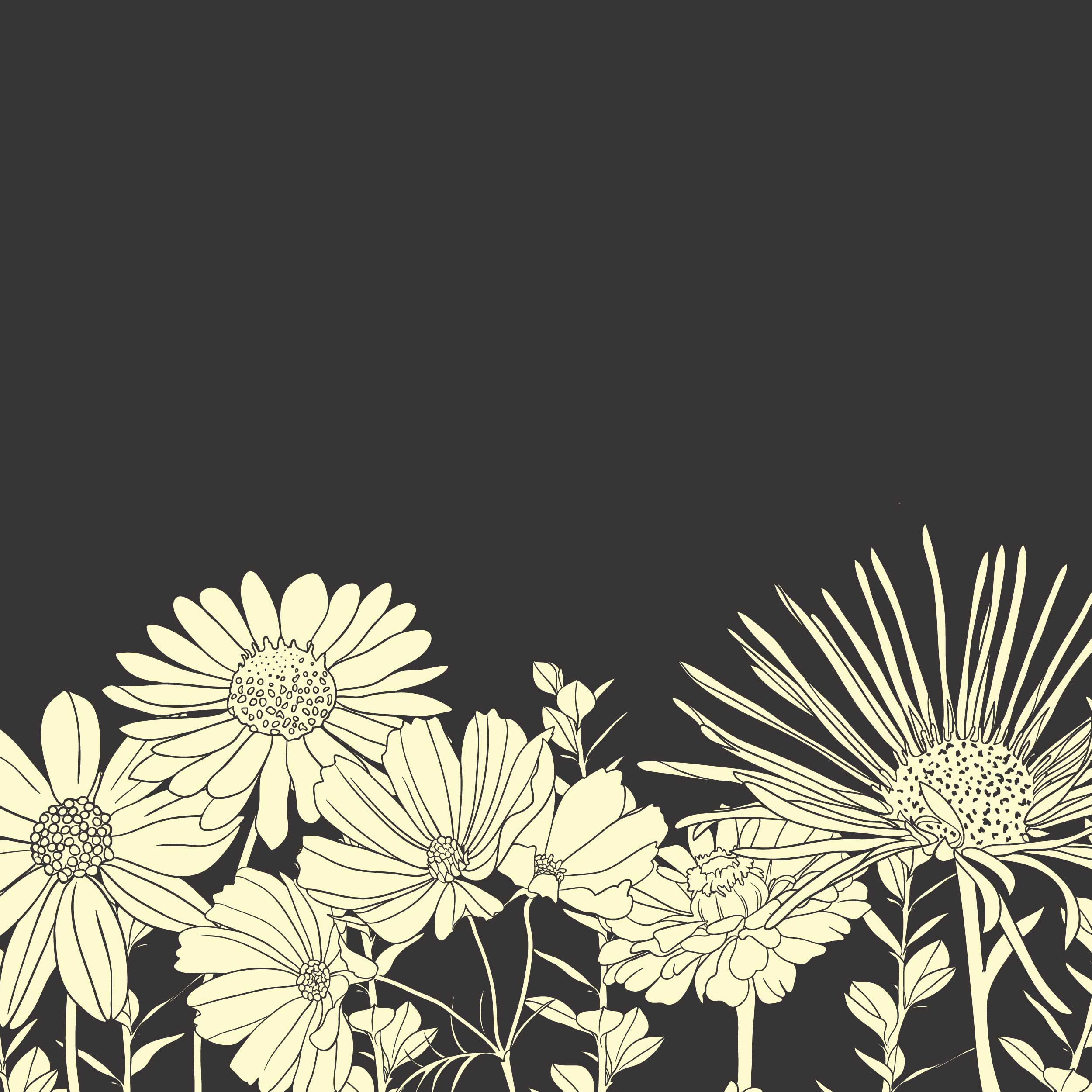 花のイラスト フリー素材 壁紙 背景no 279 白黒 手書き風