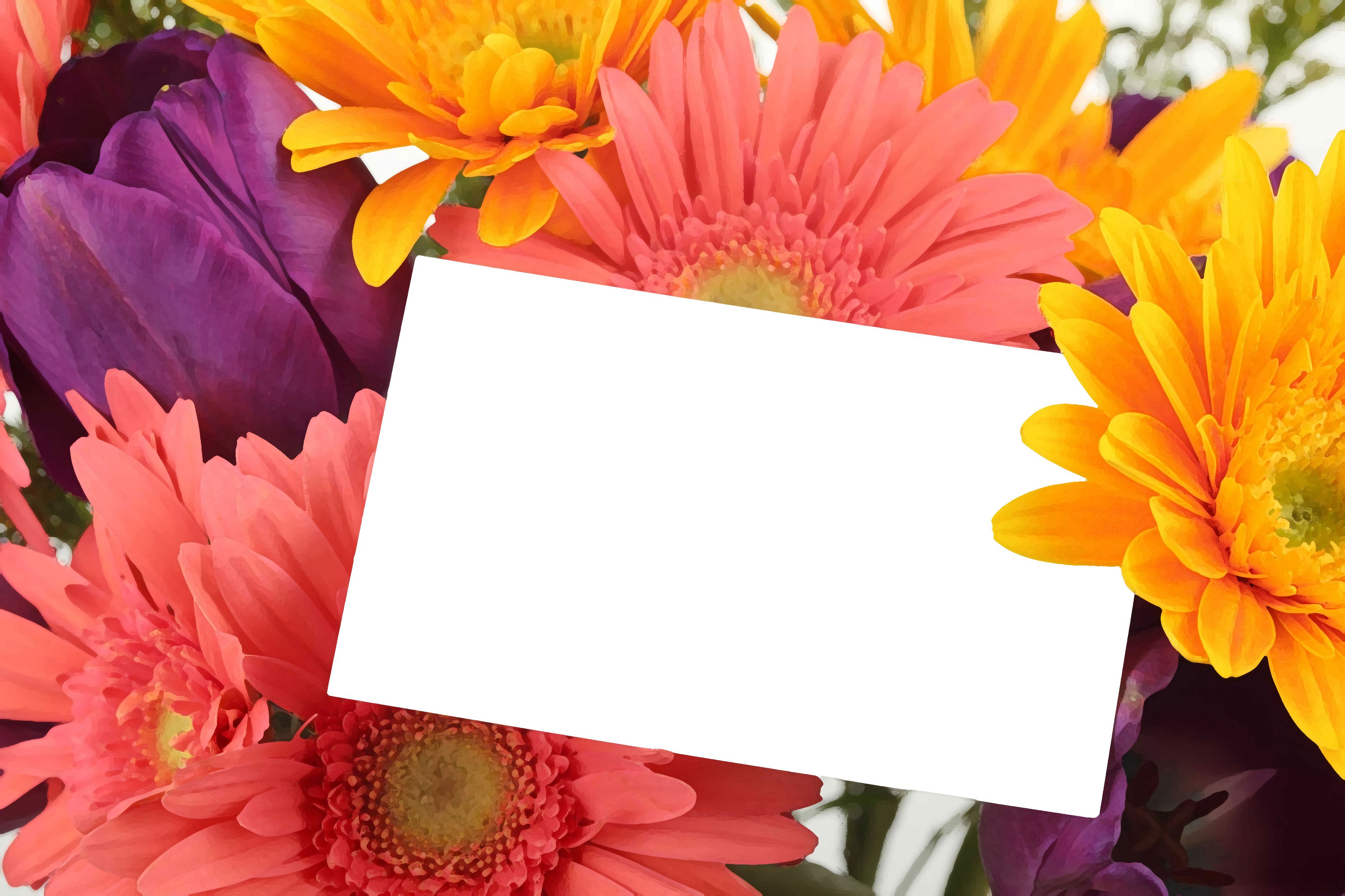 花のイラスト フリー素材 壁紙 背景no 690 黄紫ピンク 手紙