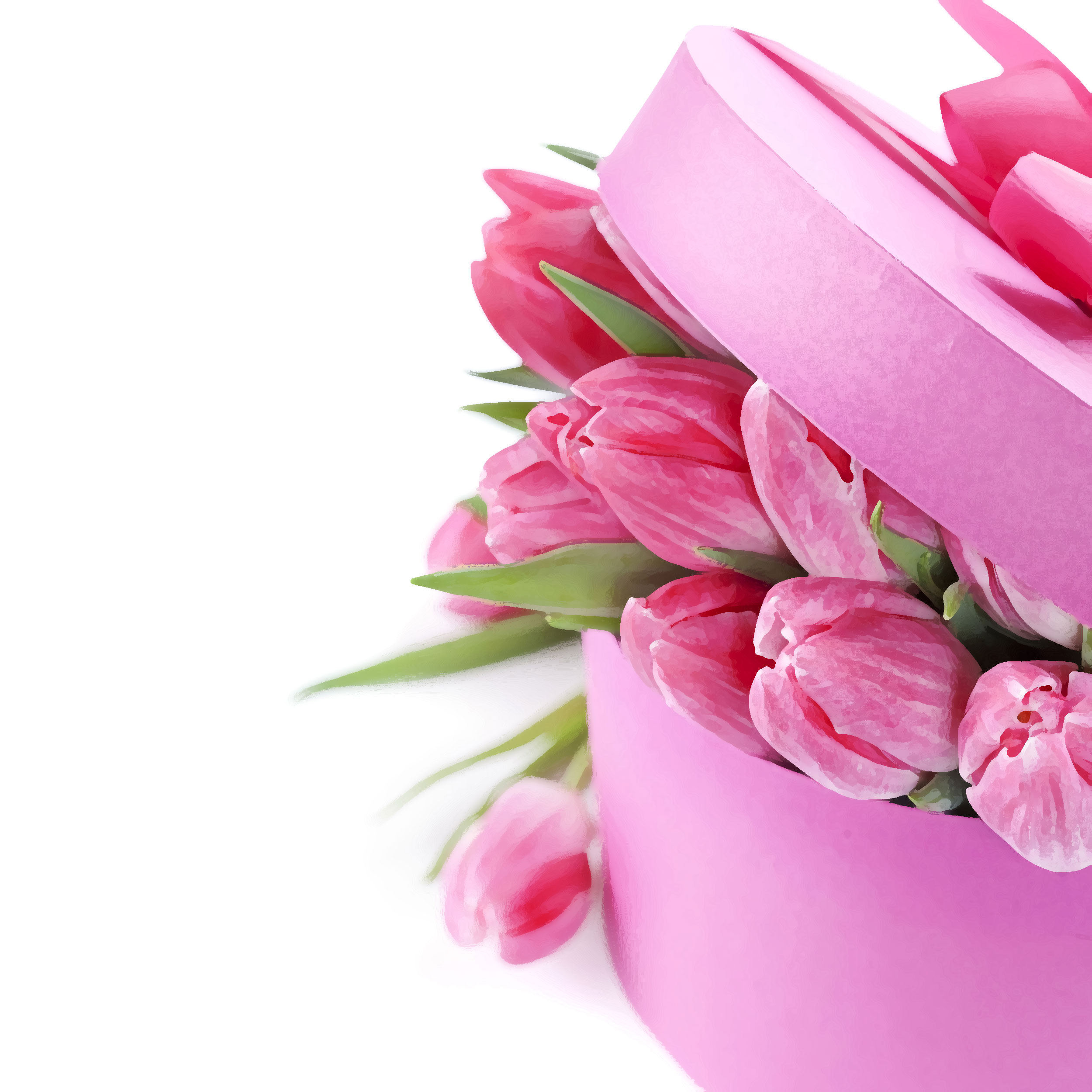 ピンクの花のイラスト フリー素材 壁紙 背景no 659 ピンクチューリップ 箱