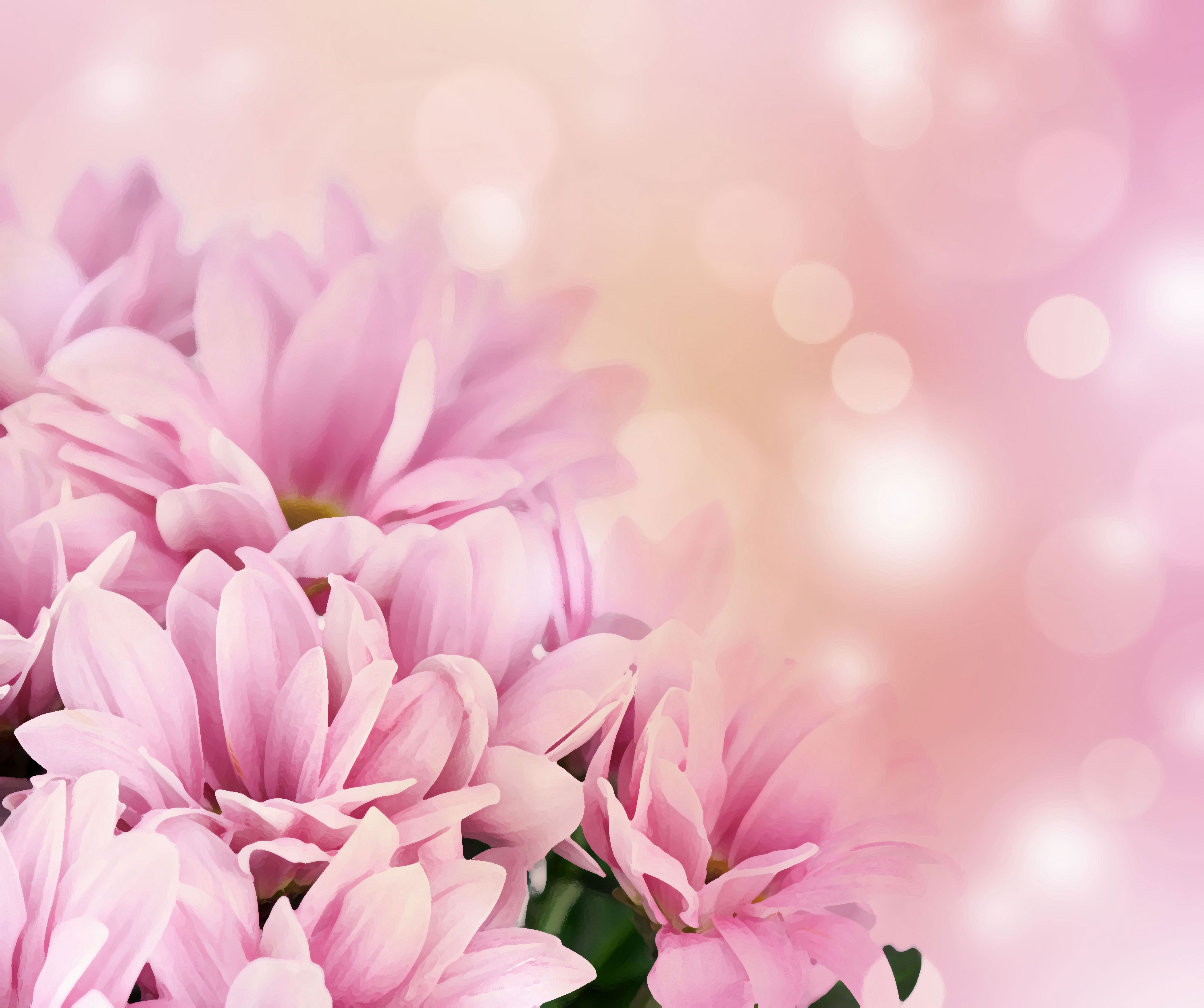 花のイラスト フリー素材 壁紙 背景no 3 ピンク 光彩 光粒
