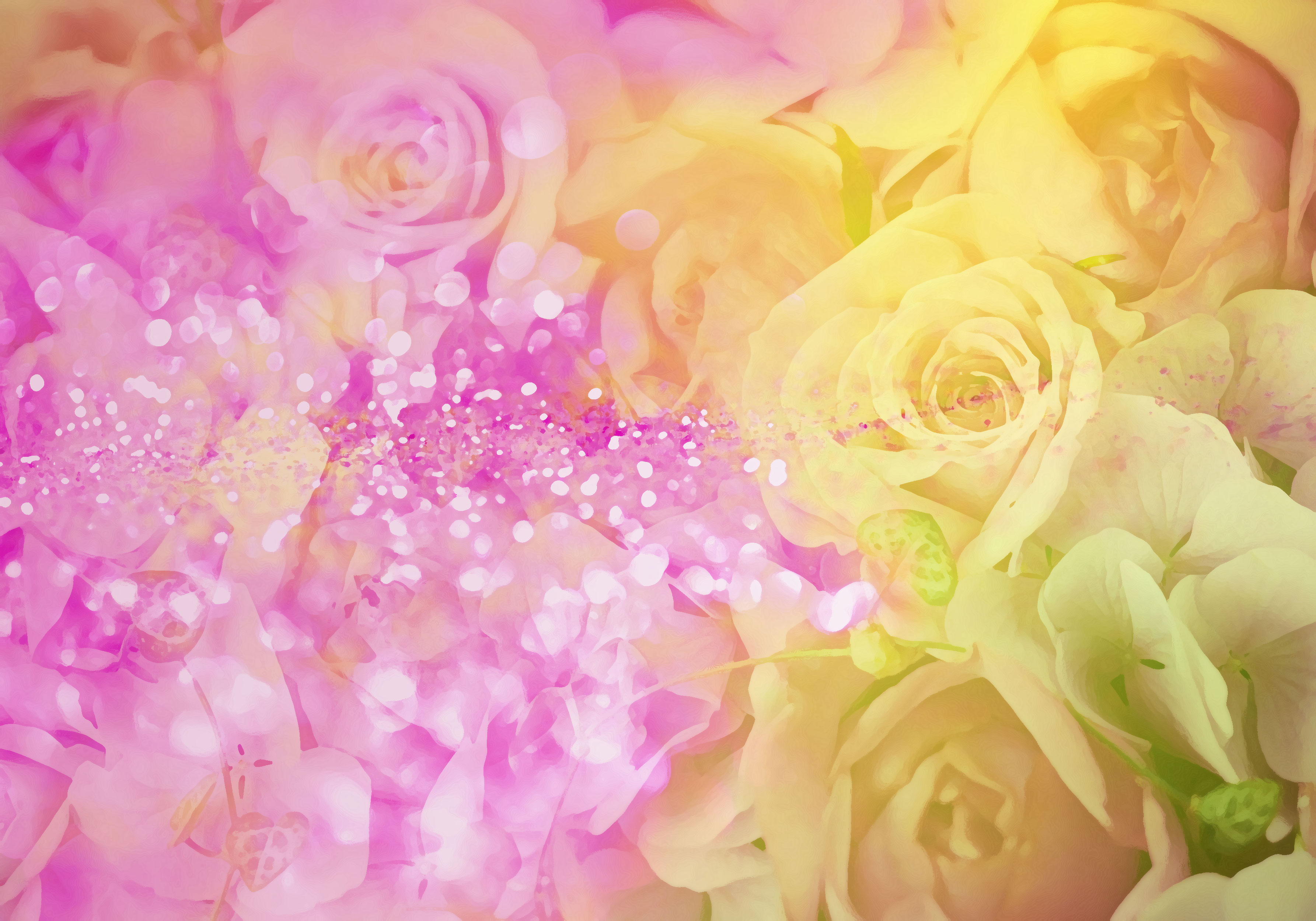 花のイラスト フリー素材 壁紙 背景no 044 バラのシルエット 黄紫