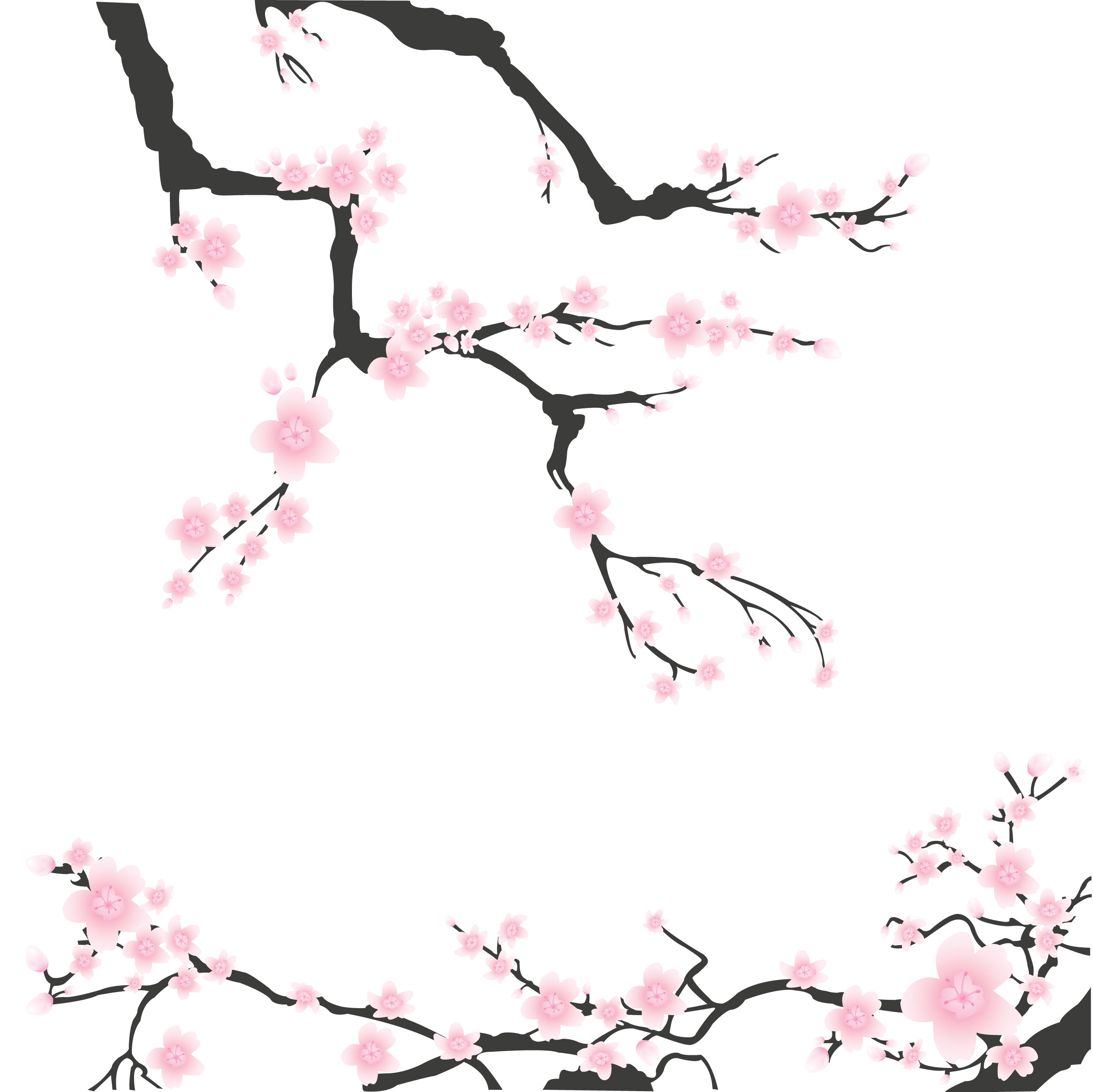 桜 さくら の画像 イラスト フリー素材 No 055 桜壁紙 ピンク 枝