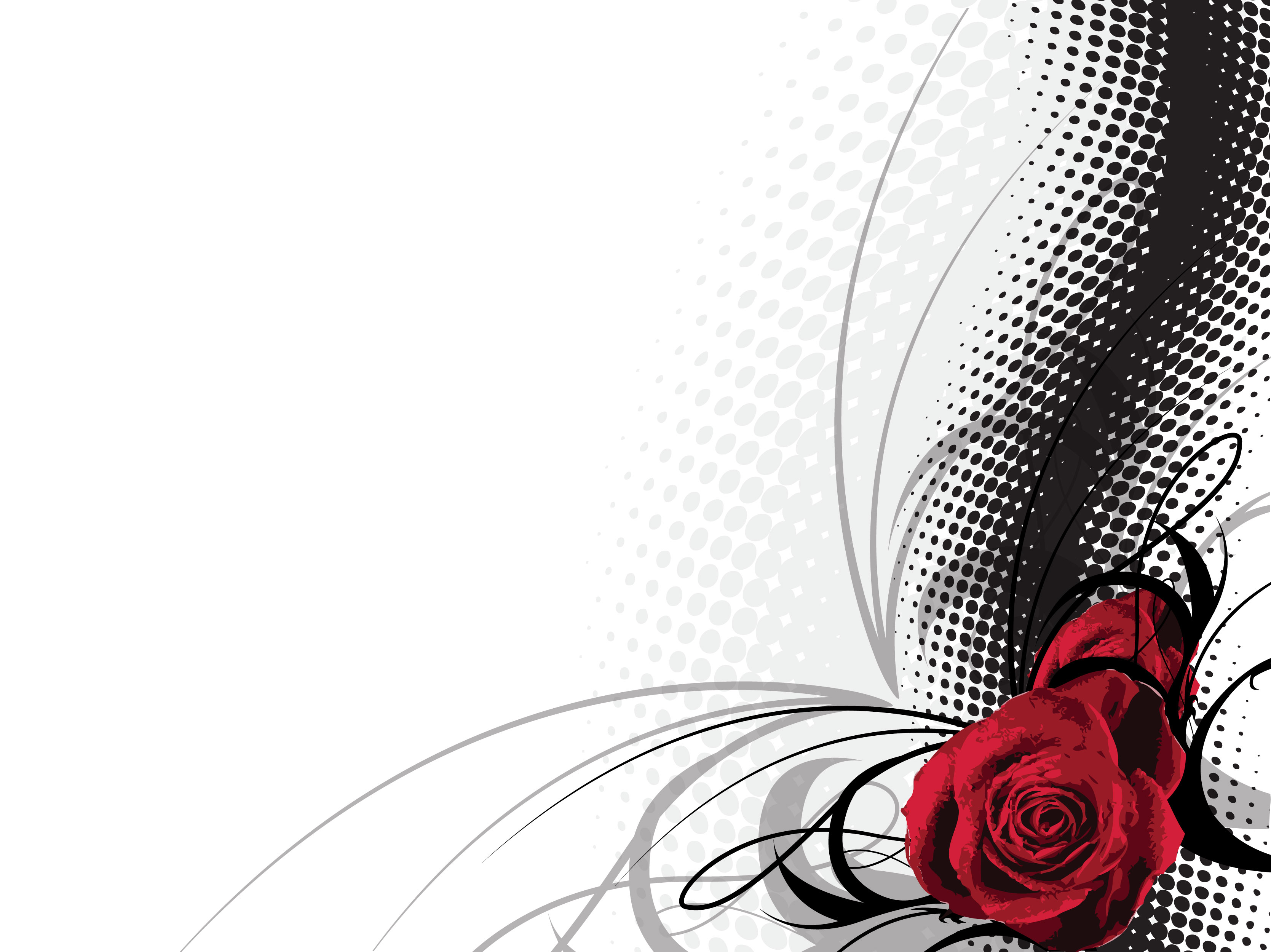 赤い花のイラスト-赤いバラ・白黒ドット
