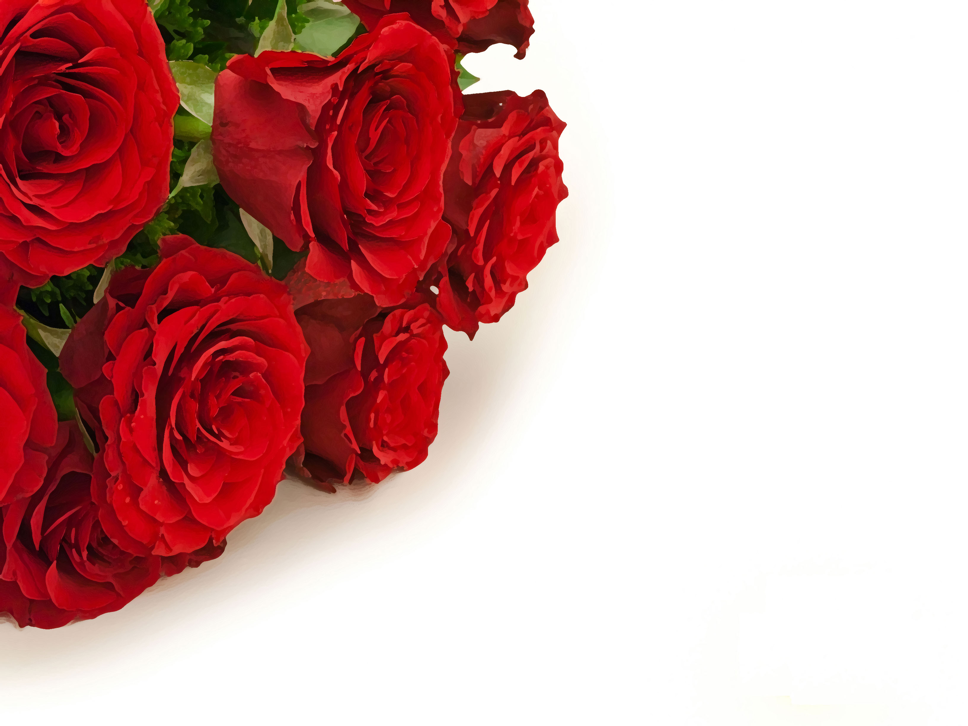 赤い花のイラスト-赤バラの束