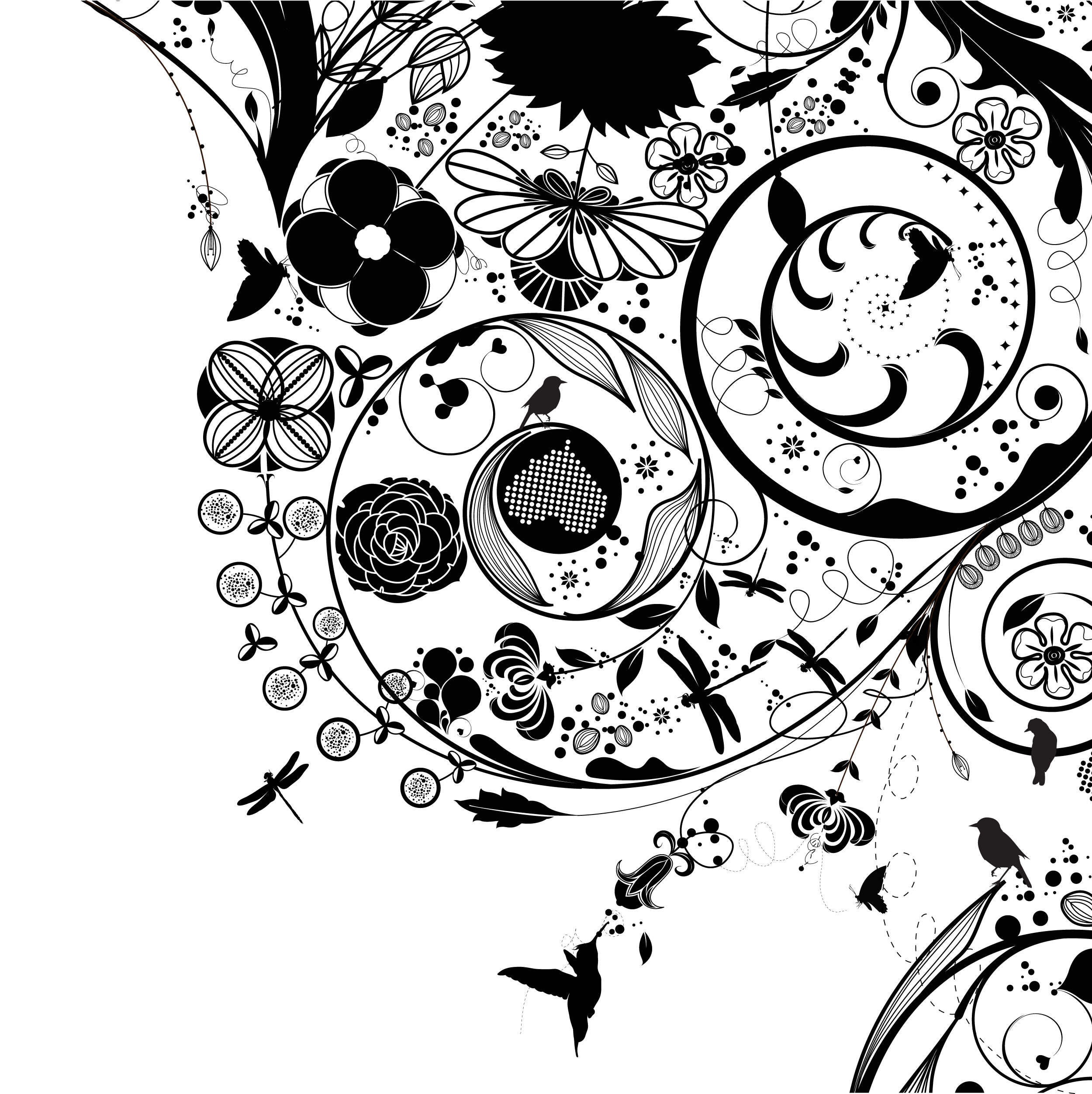 花のイラスト フリー素材 壁紙 背景no 5 白黒 渦巻き状 鳥