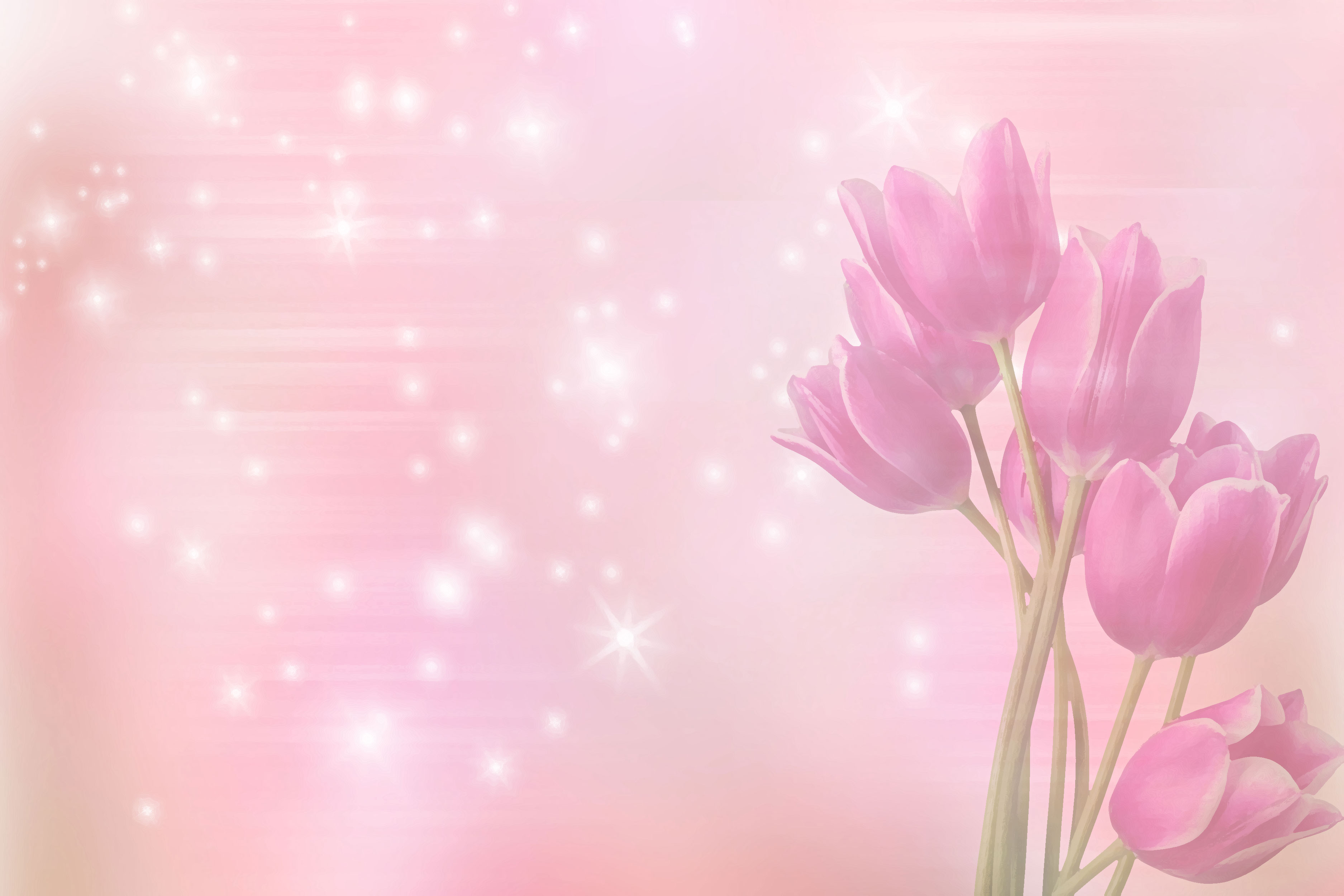 花の背景・壁紙イラスト-紫チューリップ・光彩
