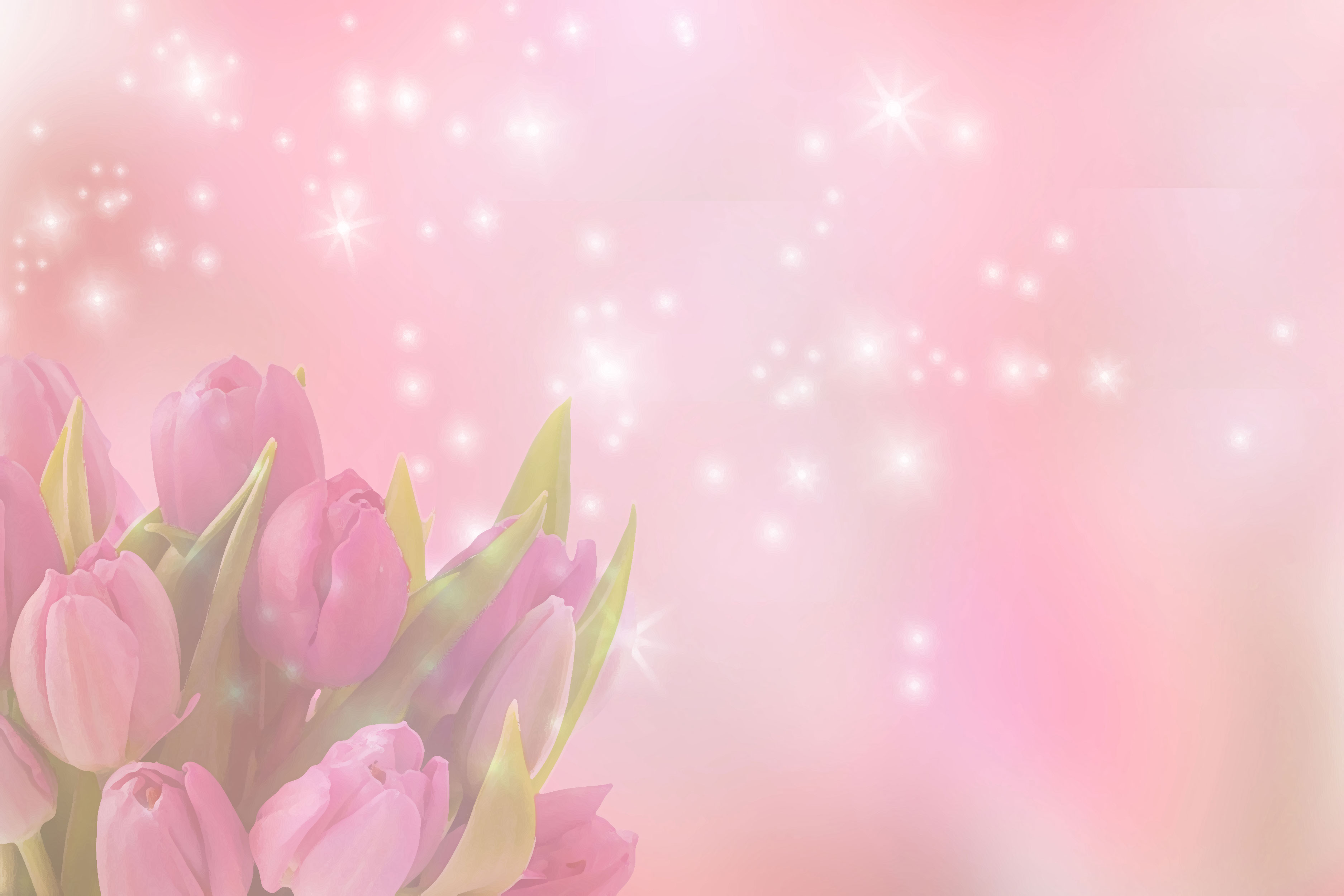 花の背景・壁紙イラスト-ピンクチューリップ・光彩