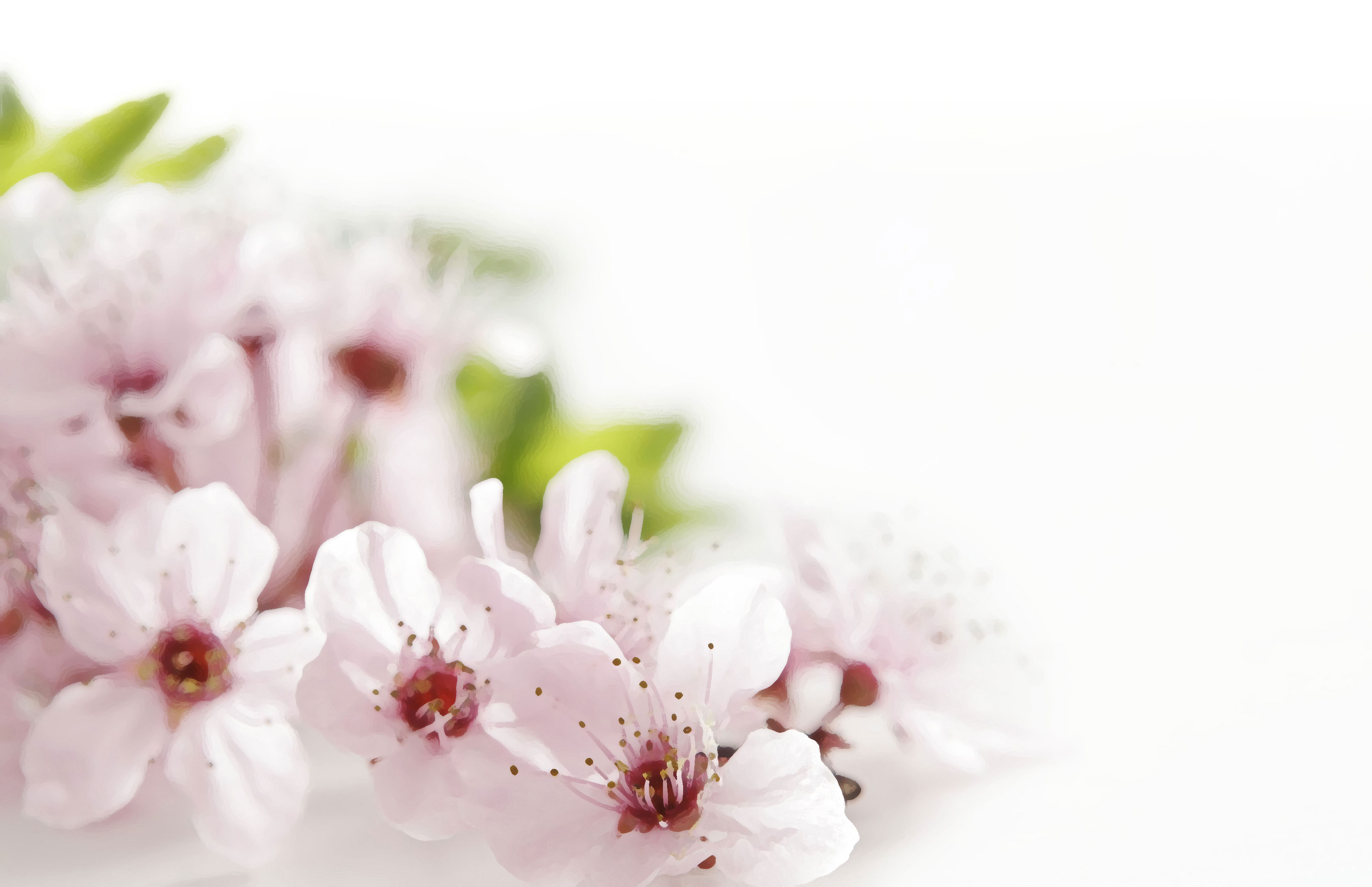 桜 さくら の画像 イラスト フリー素材 No 059 桜壁紙 ピンクの花々