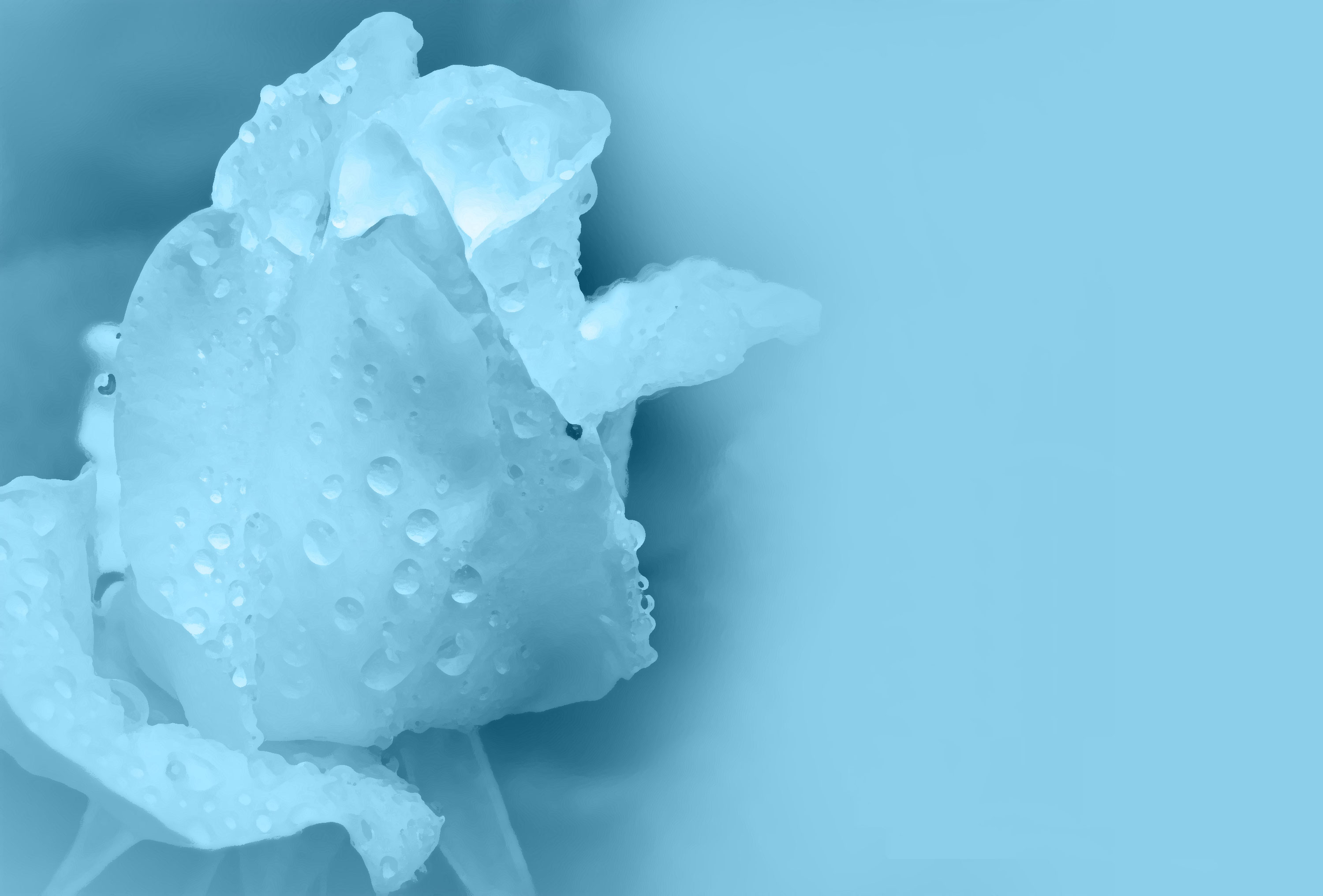 青い花のイラスト フリー素材 背景 壁紙no 368 水色 水滴