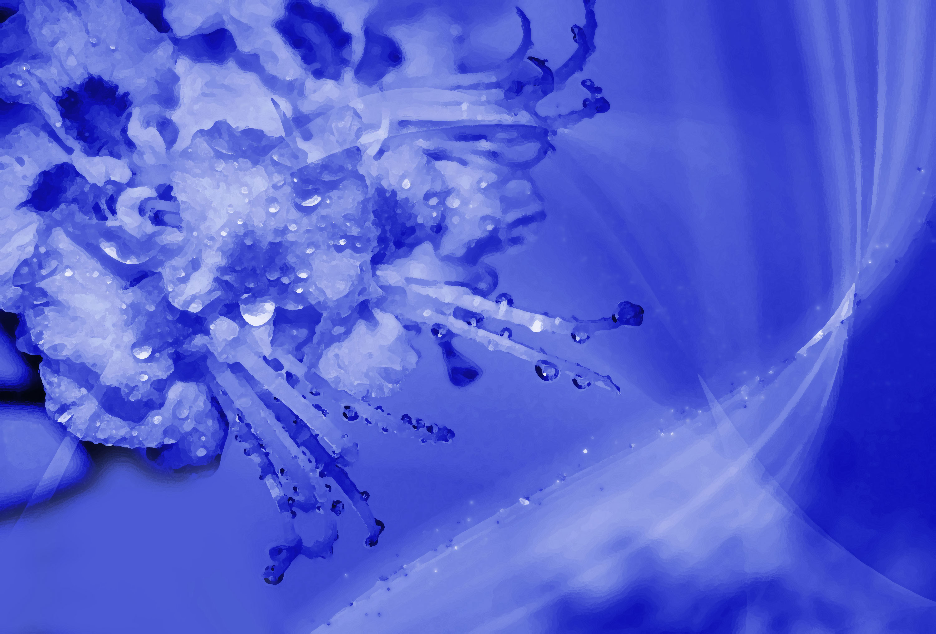 青い花のイラスト フリー素材 背景 壁紙no 369 青 水滴 ライン