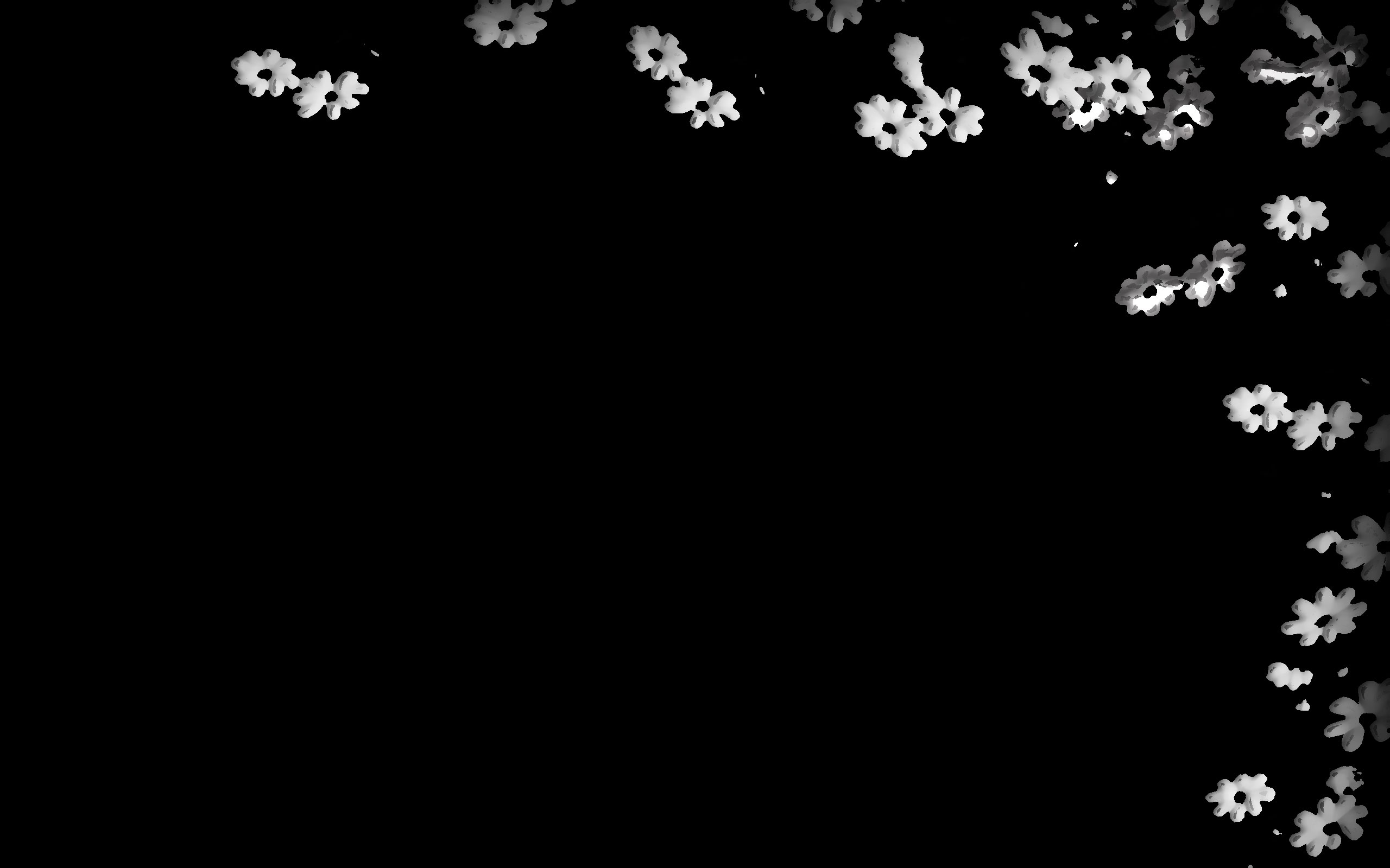 花のイラスト フリー素材 壁紙 背景no 290 白黒 リアル