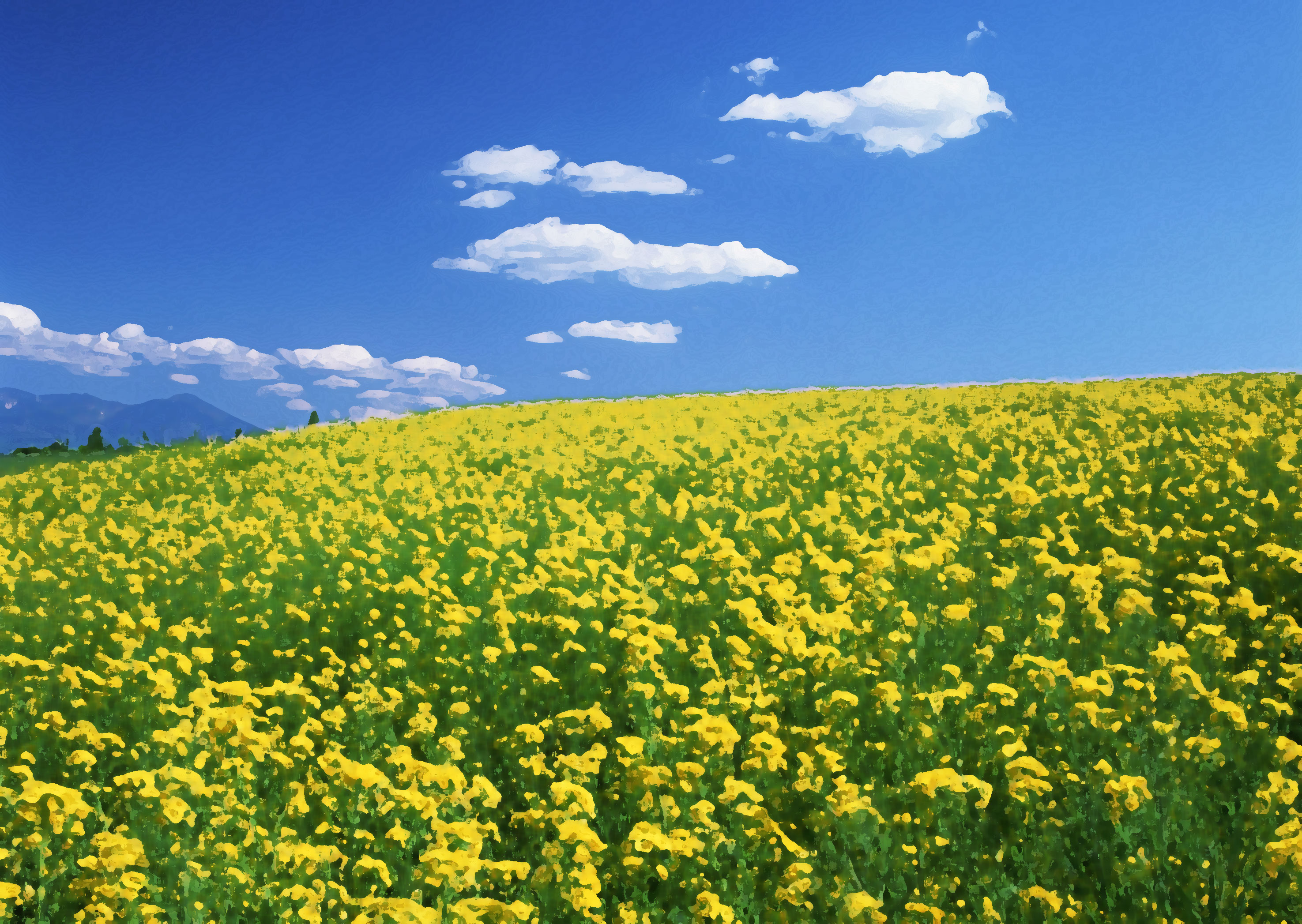 花のイラスト フリー素材 壁紙 背景no 4 黄色い花畑 青い空